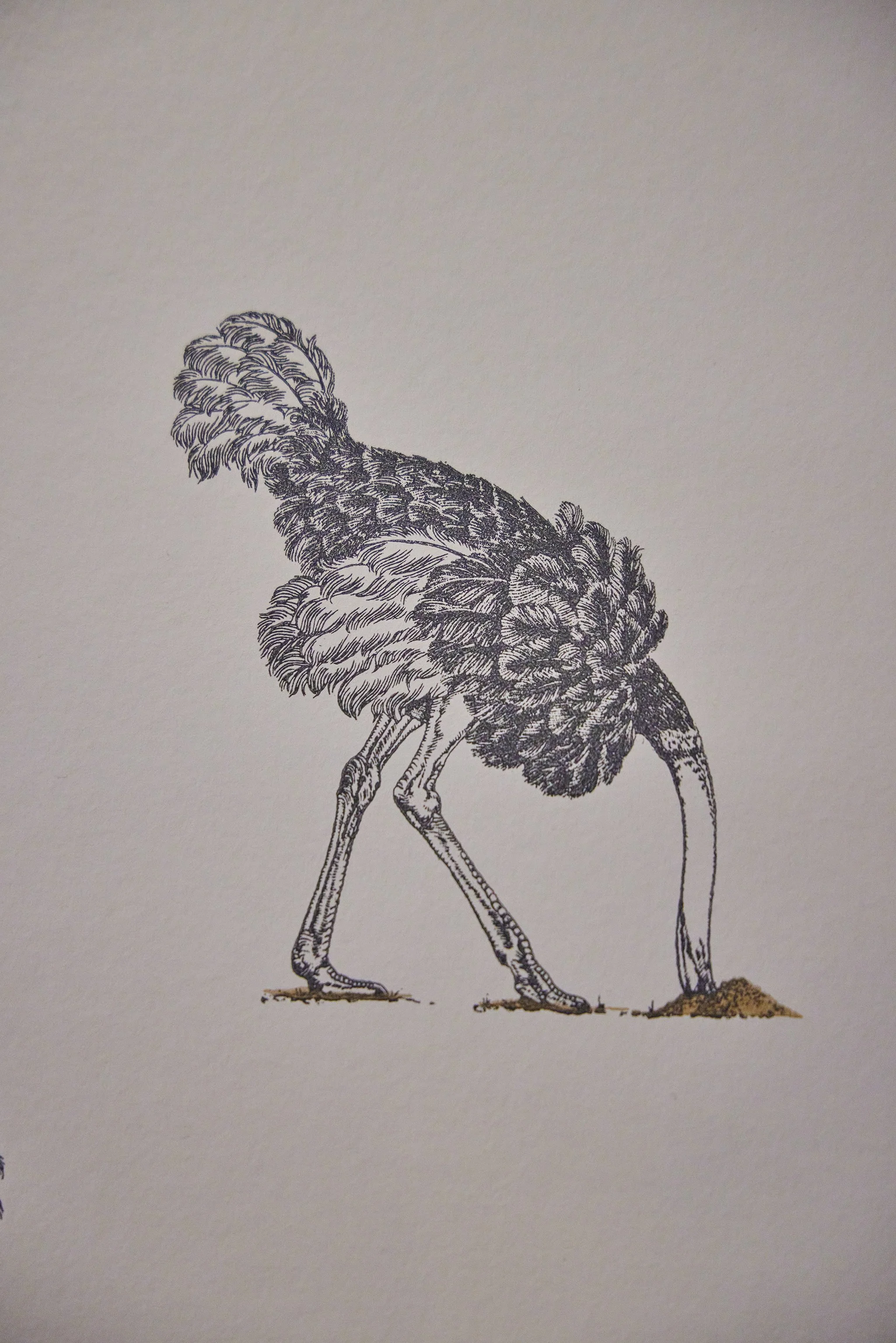 SEASON TO TASTE_BRIAN SAMUELS PHOTOGRAPHY_JANUARY 2023-IMG_4247 copy.jpg