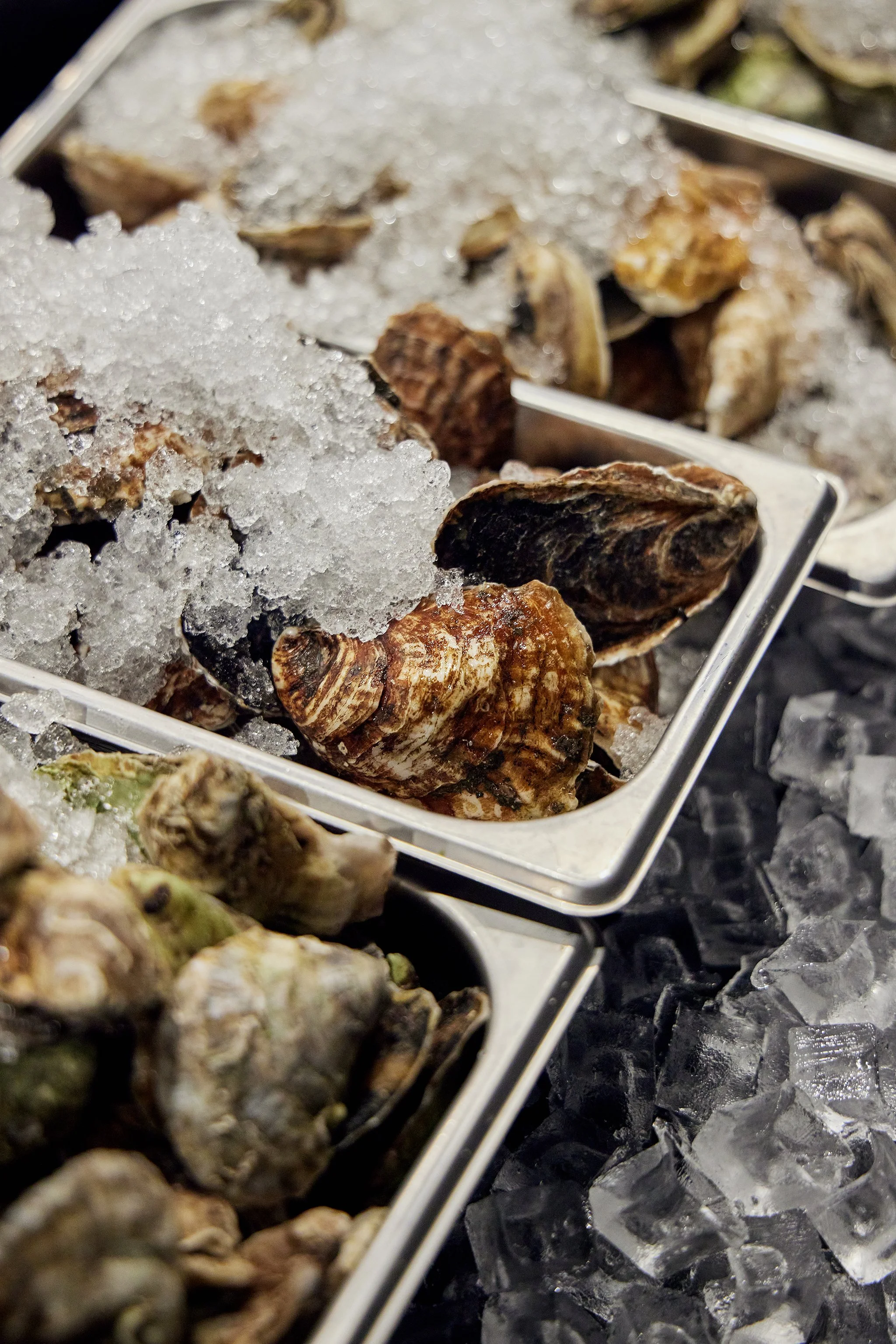 PURITAN OYSTER BAR_BRIAN SAMUELS PHOTOGRAPHY_MARCH 2023-IMG_9628 copy.jpg