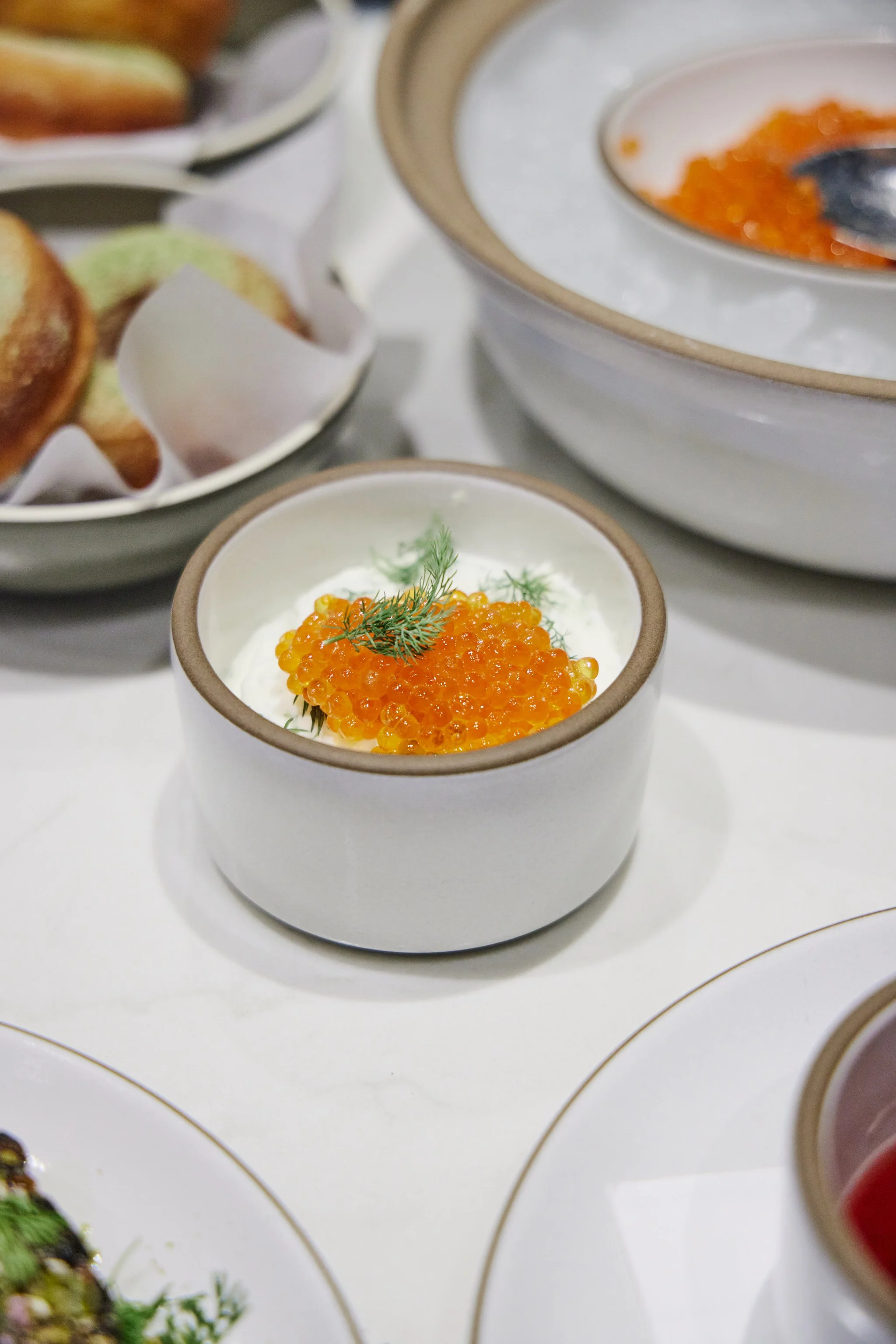 CHICKADEE_BRIAN SAMUELS PHOTOGRAPHY_MARCH 2023-IMG_0045 copy.jpg