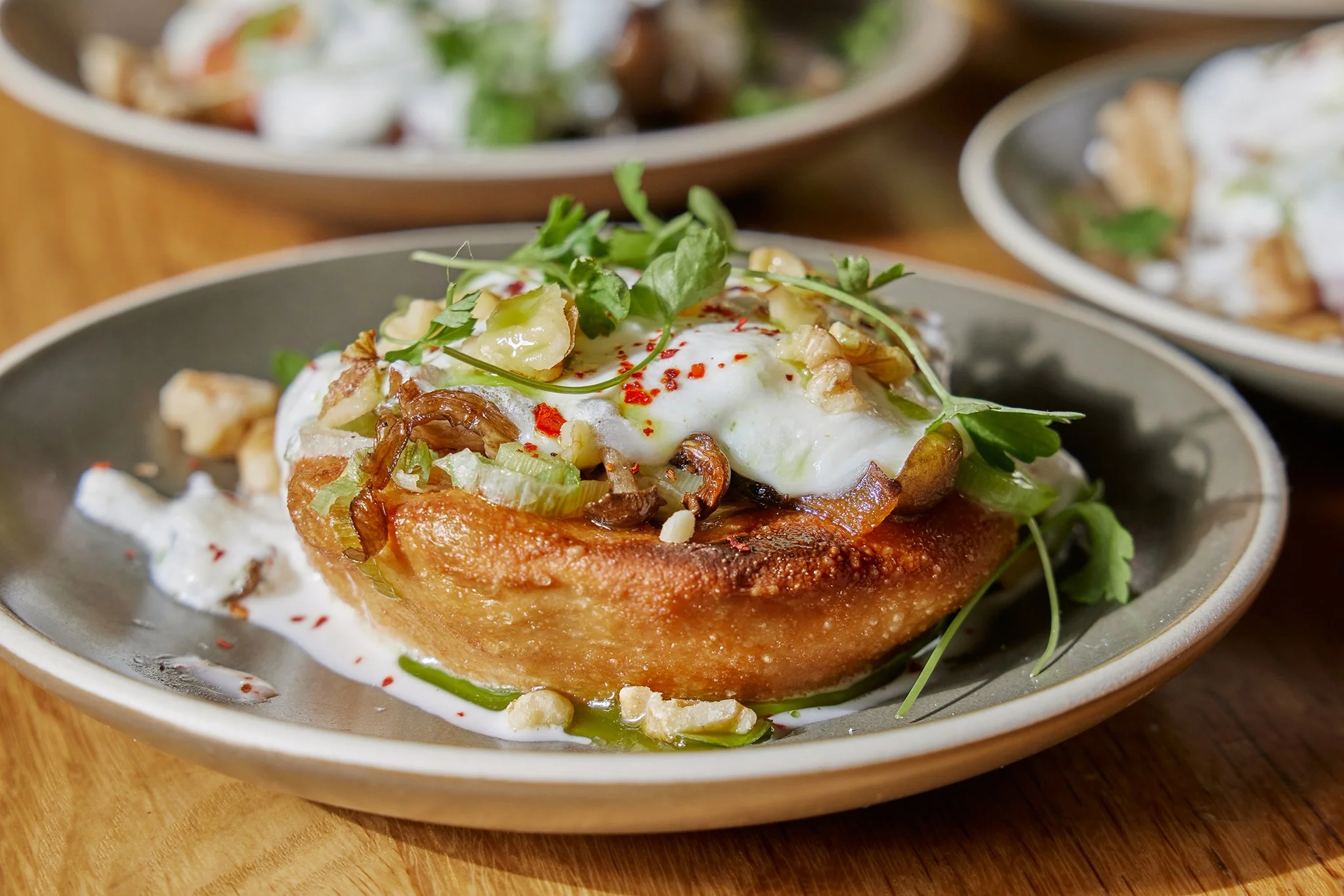 CHICKADEE_BRIAN SAMUELS PHOTOGRAPHY_MARCH 2023-IMG_9947 copy.jpg