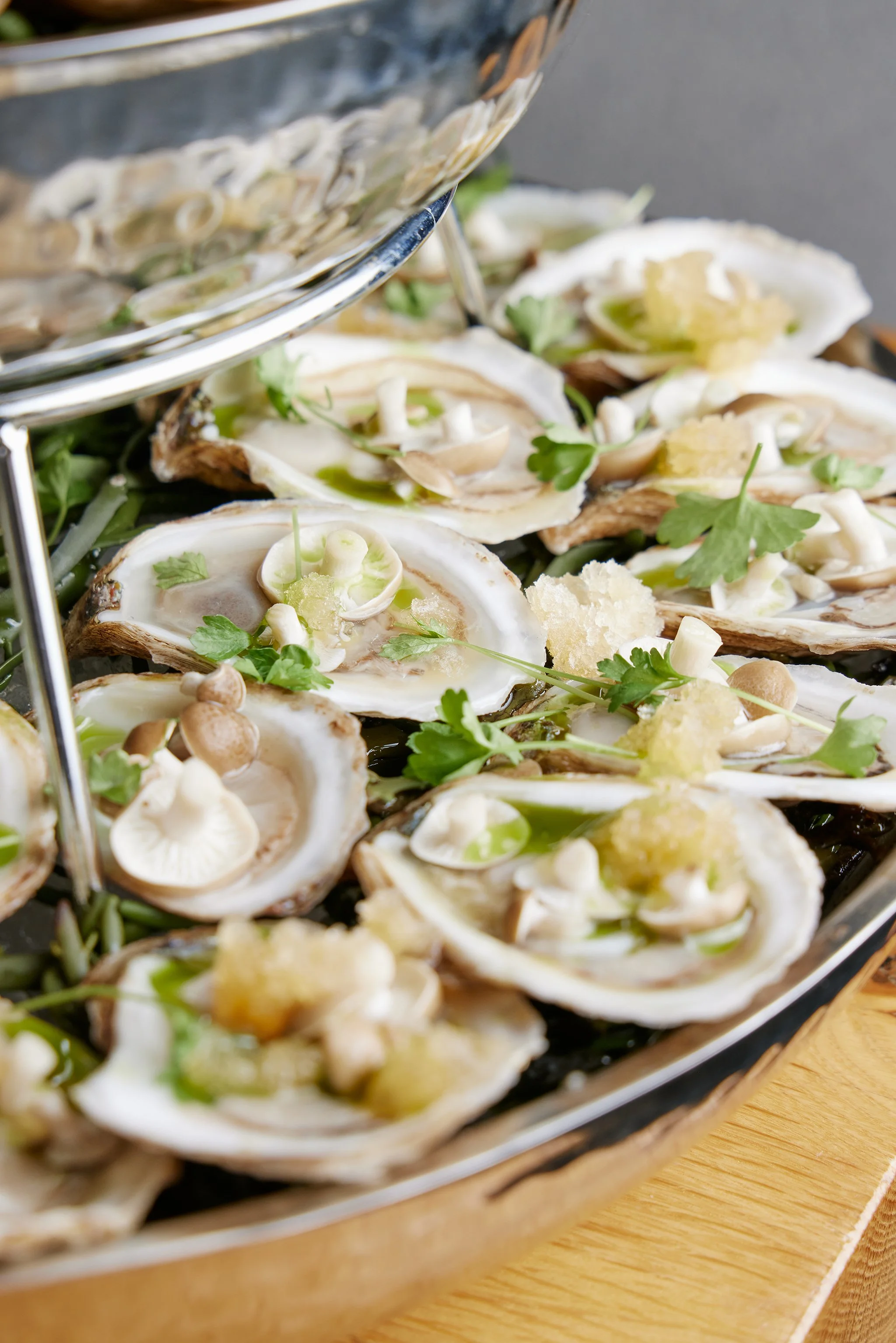 CHICKADEE_BRIAN SAMUELS PHOTOGRAPHY_MARCH 2023-IMG_9969 copy.jpg