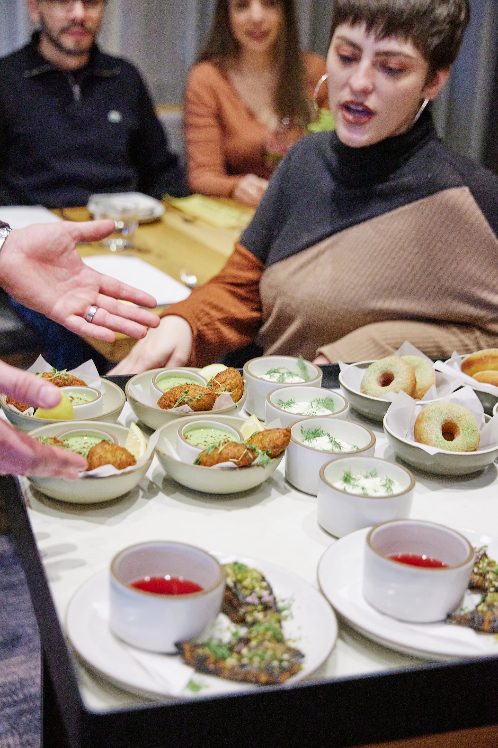 CHICKADEE_BRIAN SAMUELS PHOTOGRAPHY_MARCH 2023-IMG_9999 copy.jpg