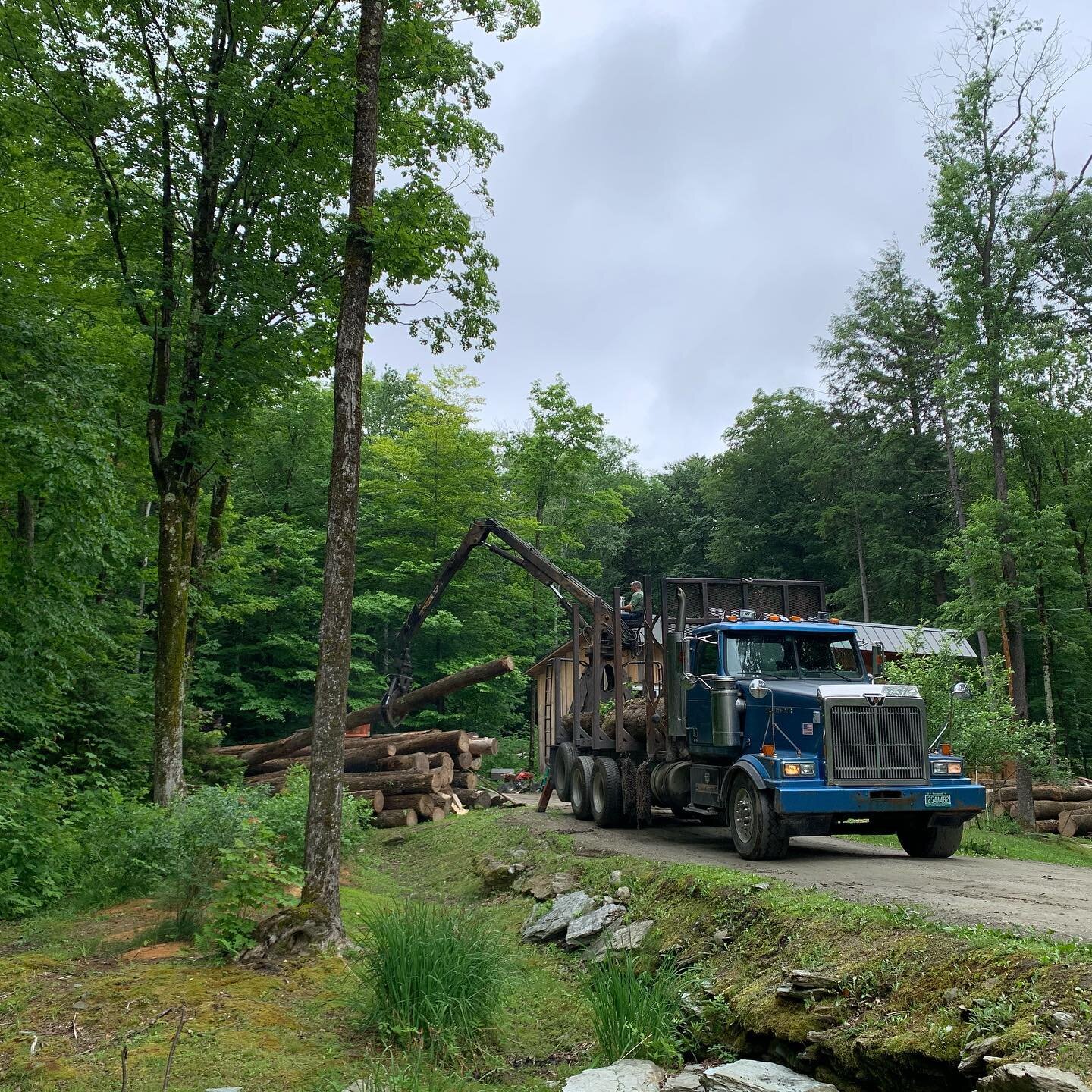 Log delivery!!! A new batch of Ash logs just dropped off at the shop for milling into our custom hardwood timbers. The milling process also provides us with lumber for flooring, trim and cabinetry. This is the most efficient way we know of to make us