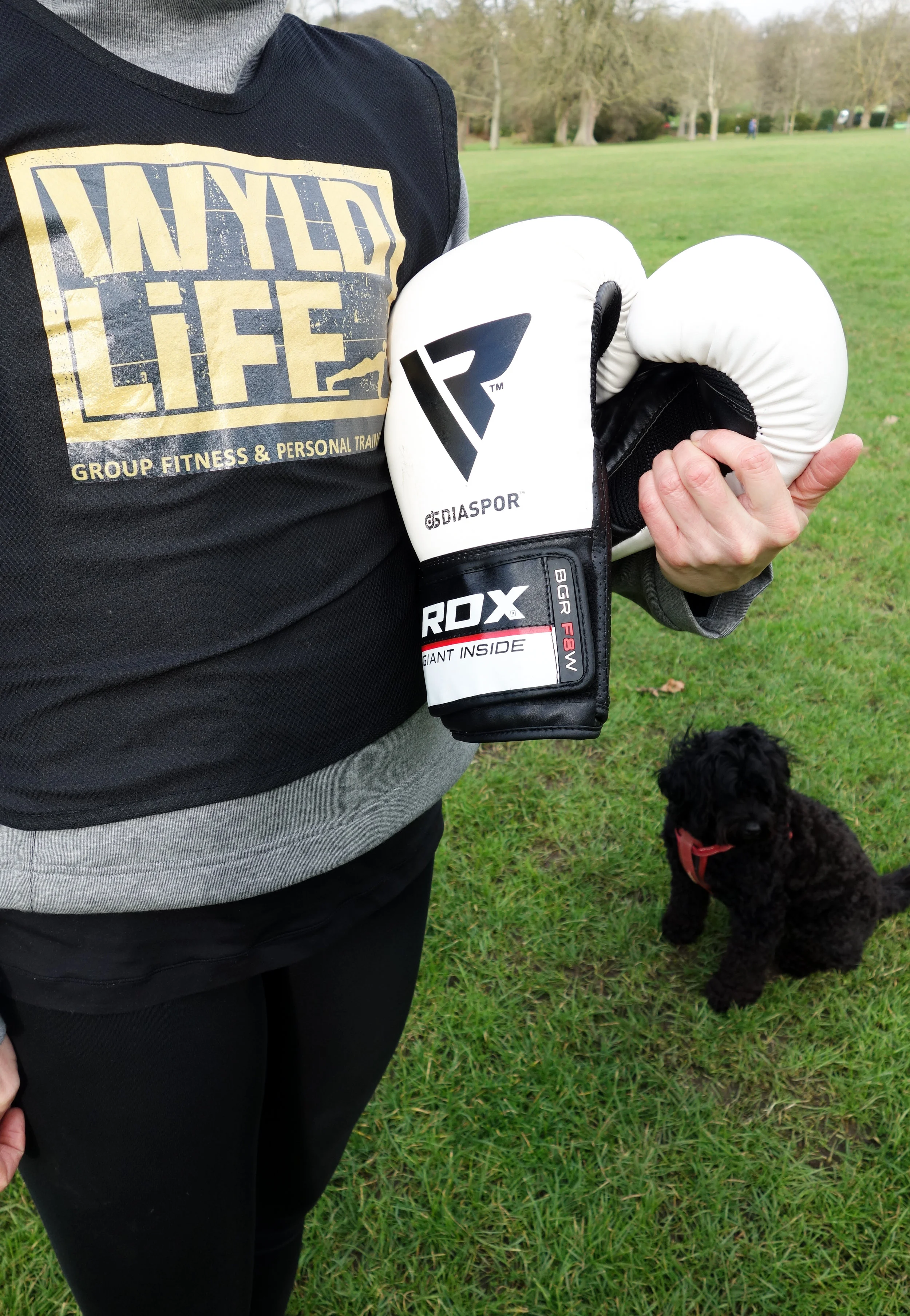 MoveGB Wyld Fitness and Personal Training.jpg