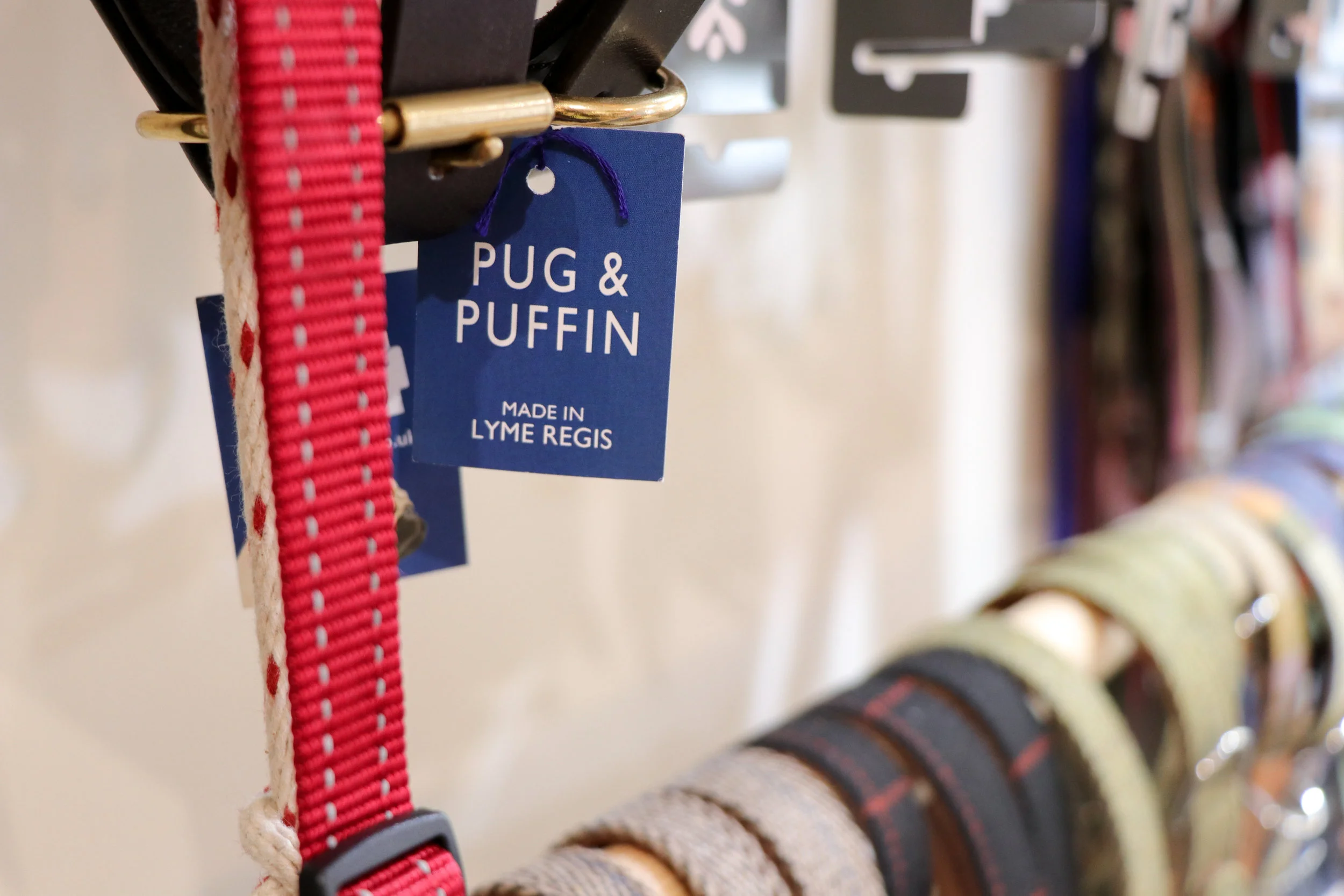 Pug & Puffin Bath.jpg
