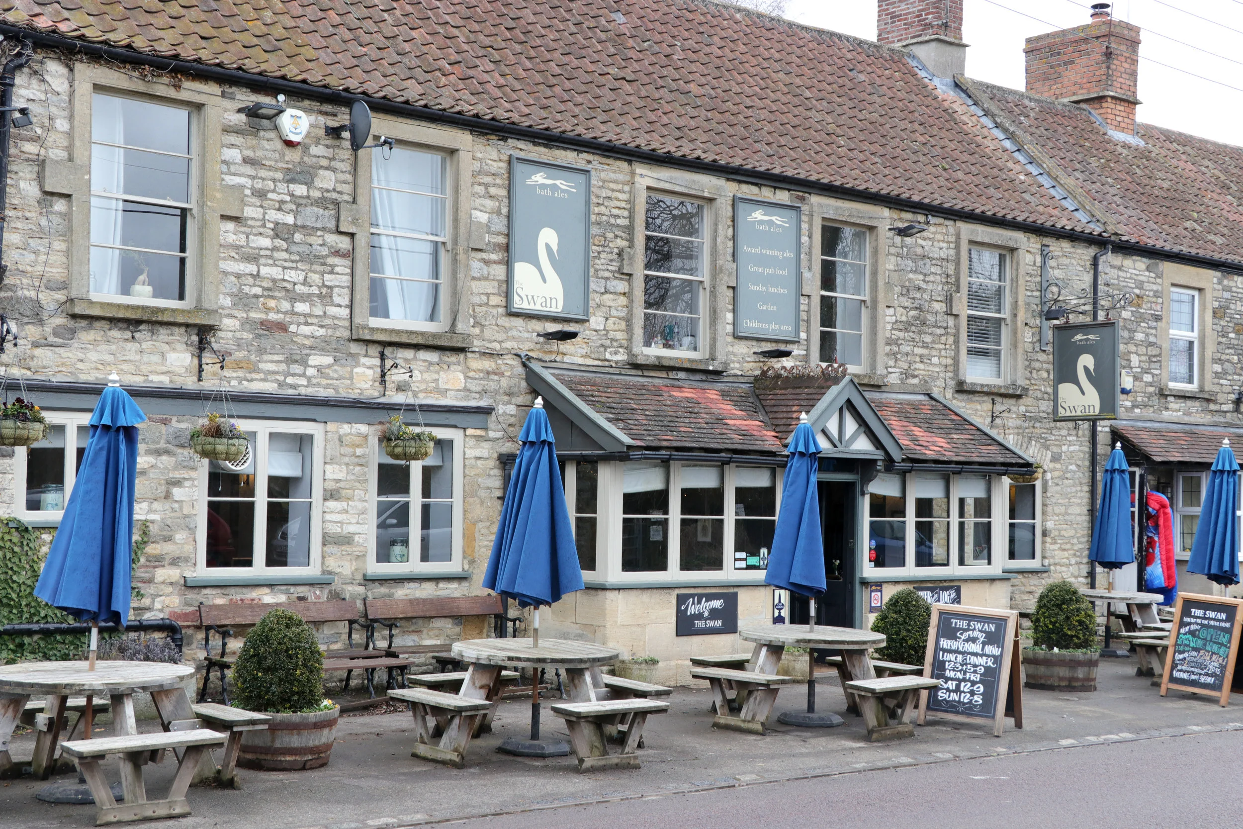 The Swan - Swineford.jpg