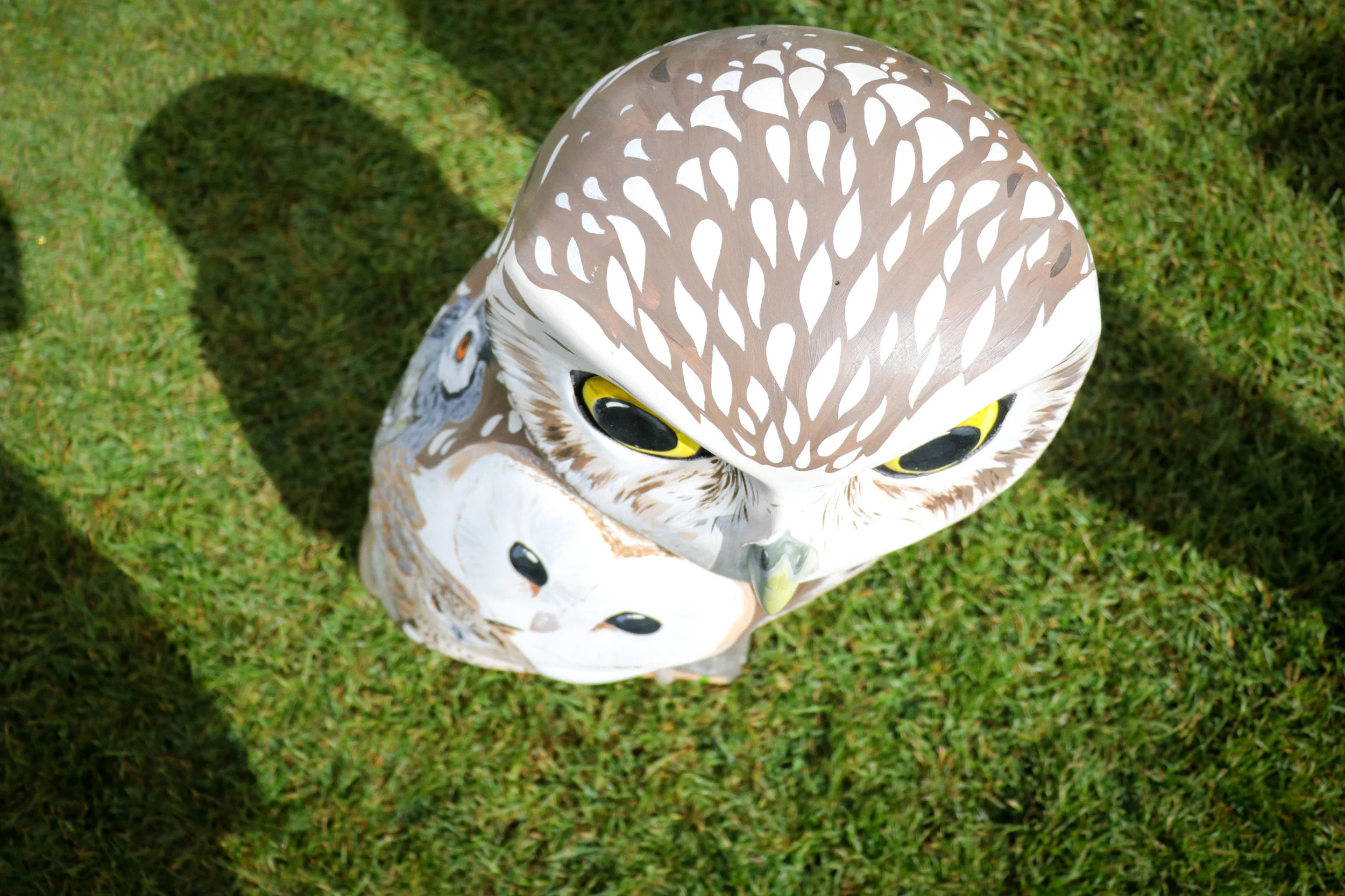 Minerva's Owls Bath.jpg