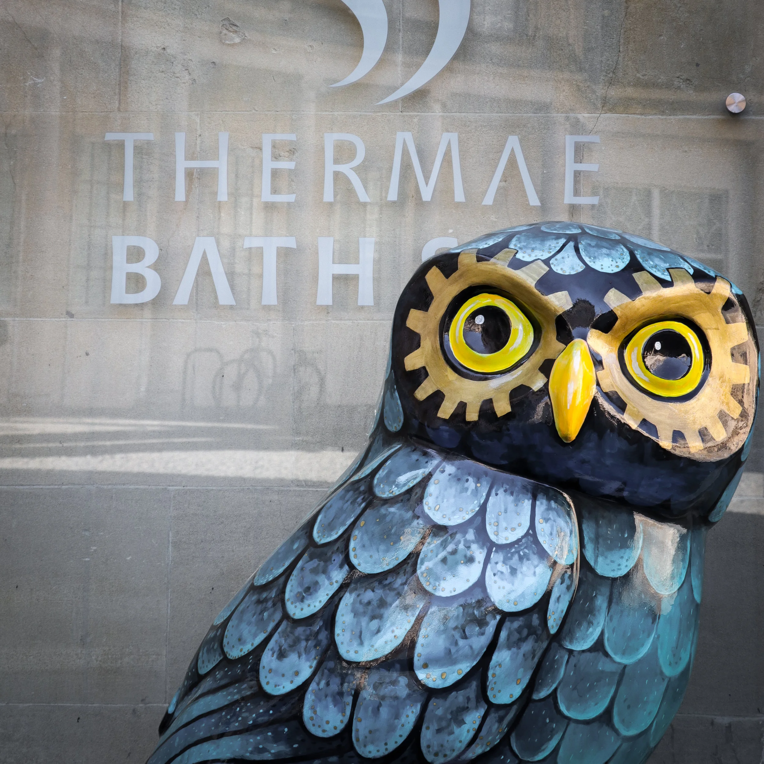 Thermae Bath Spa.jpg