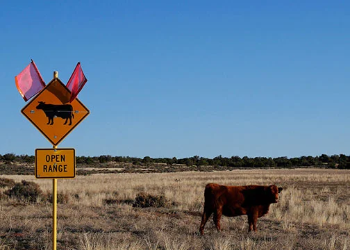 Free Range