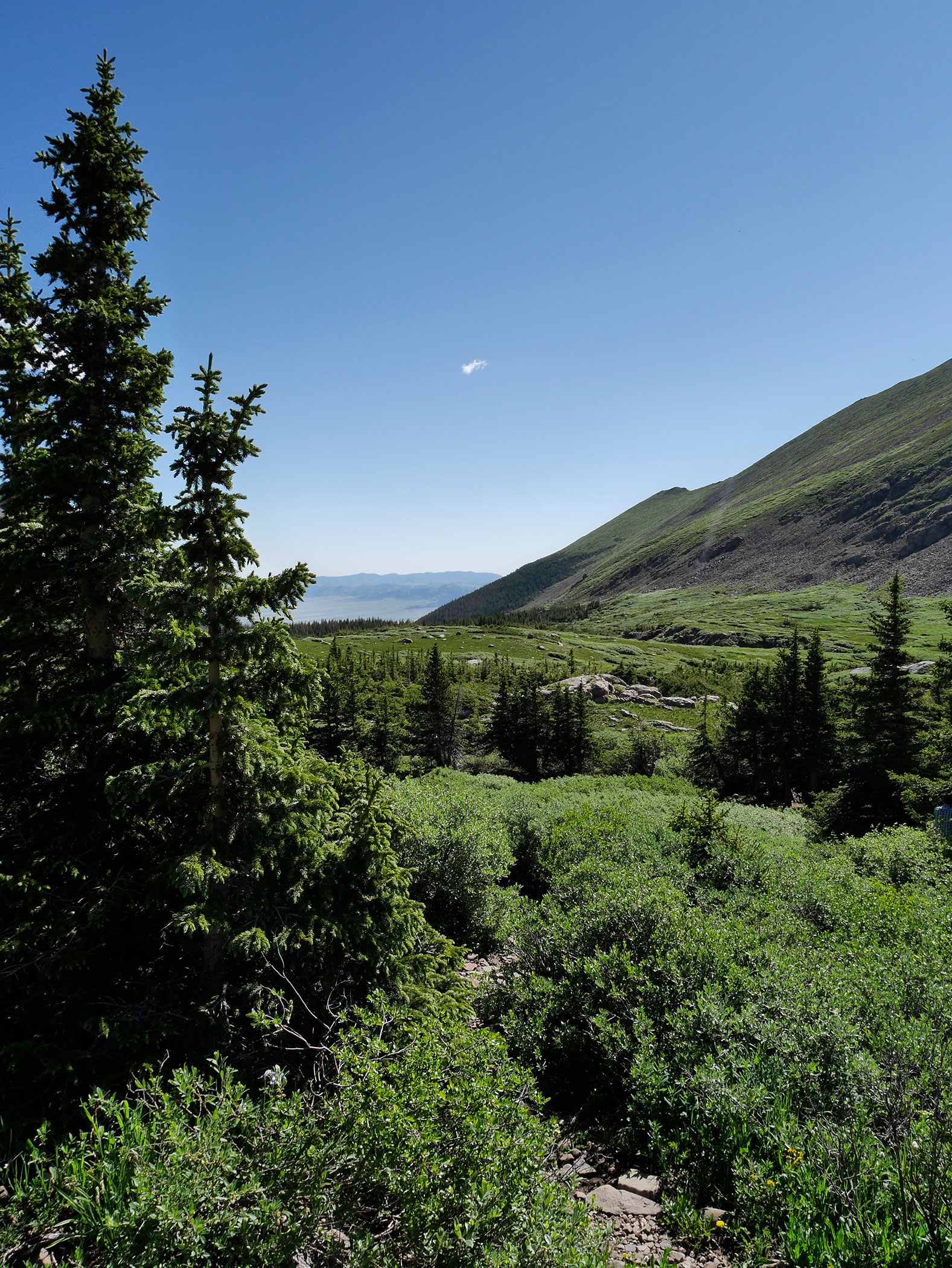 landscape3.jpg