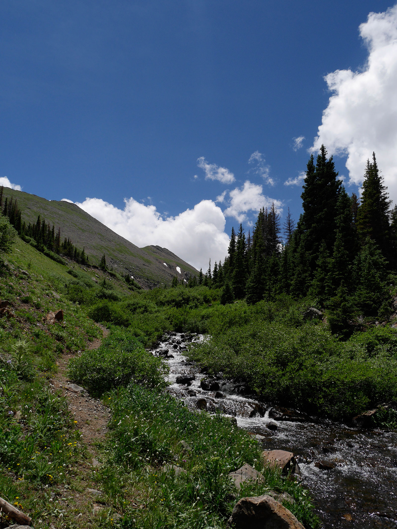 landscape2.jpg