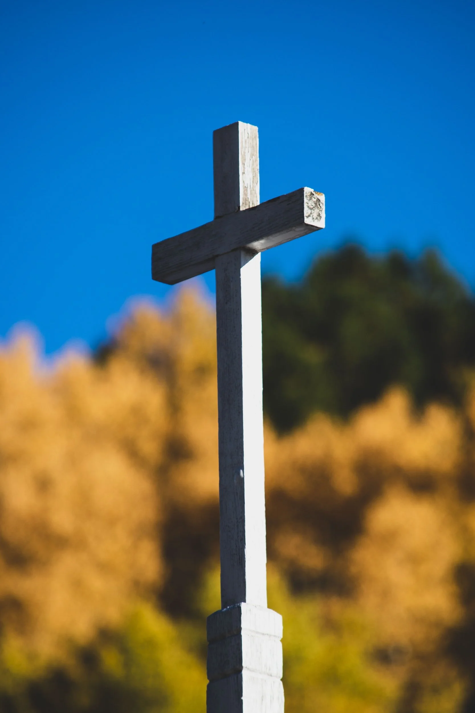 Easter Sermons: Amazing Love and Convincing Proofs - Rev'd Freddie Brookes