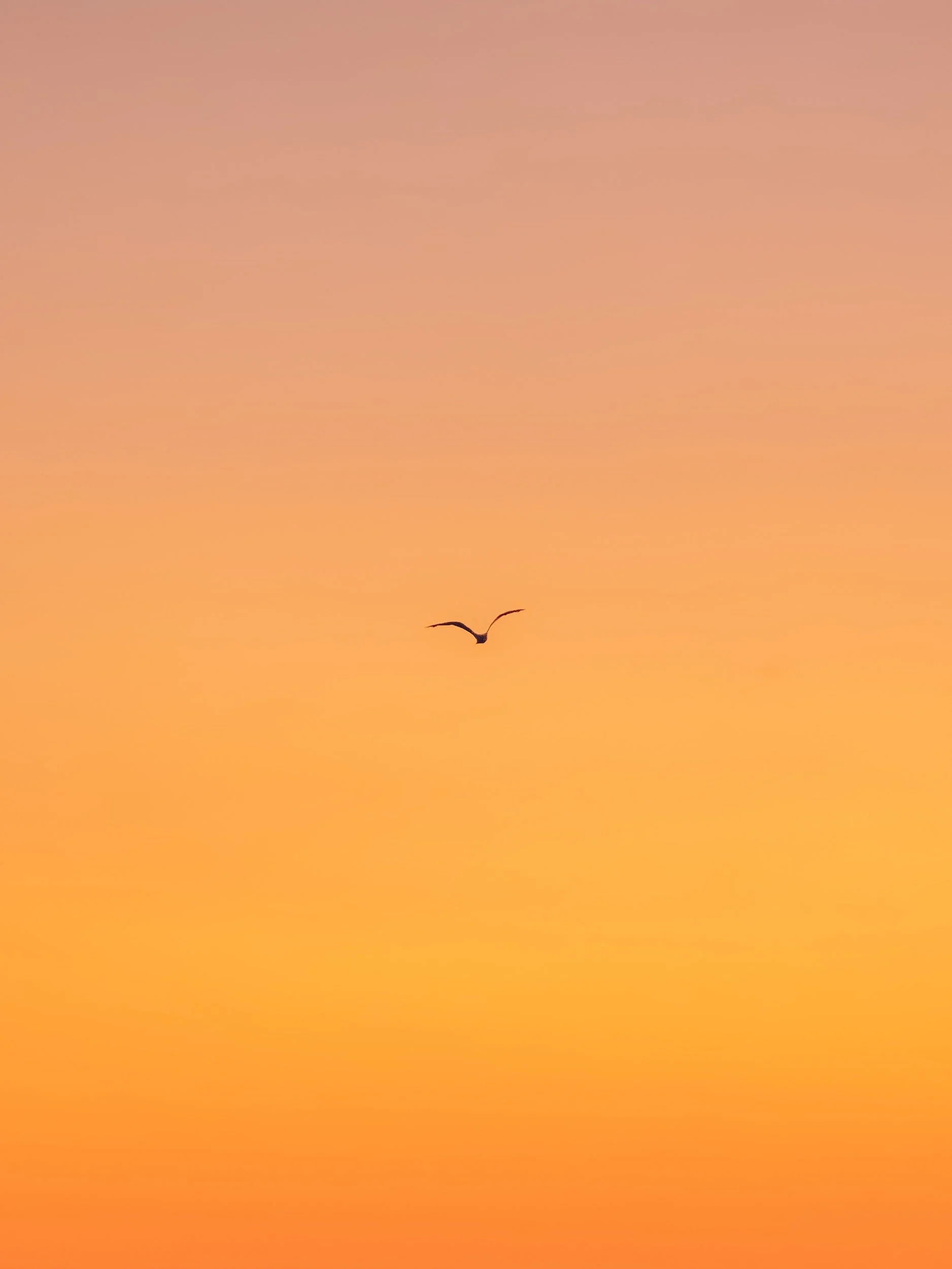 The Work of the Spirit - Jeanette Howard