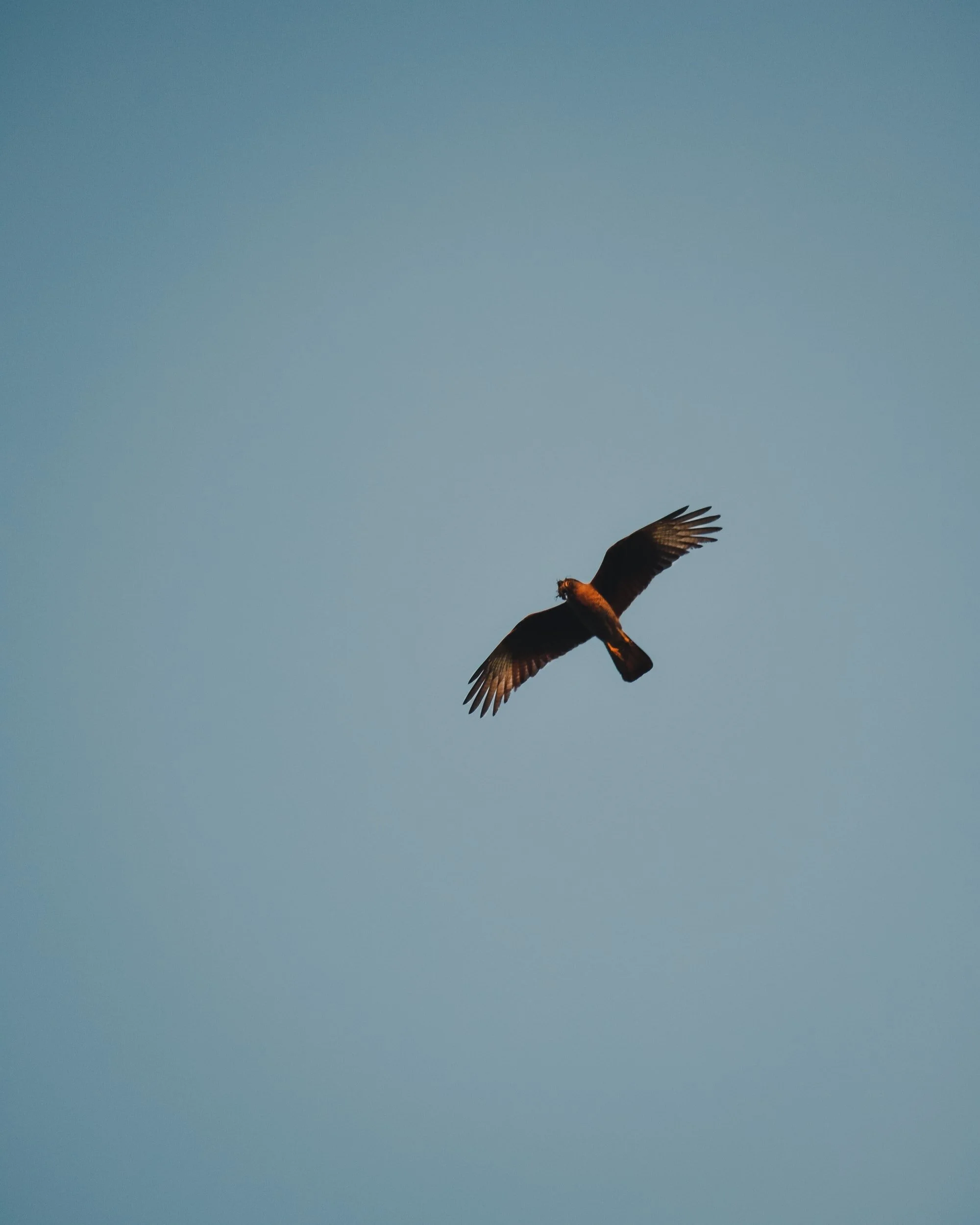 Easy Sunday: Nothing to Fear (3) We Have Lift Off! - Rev'd Freddie Brookes