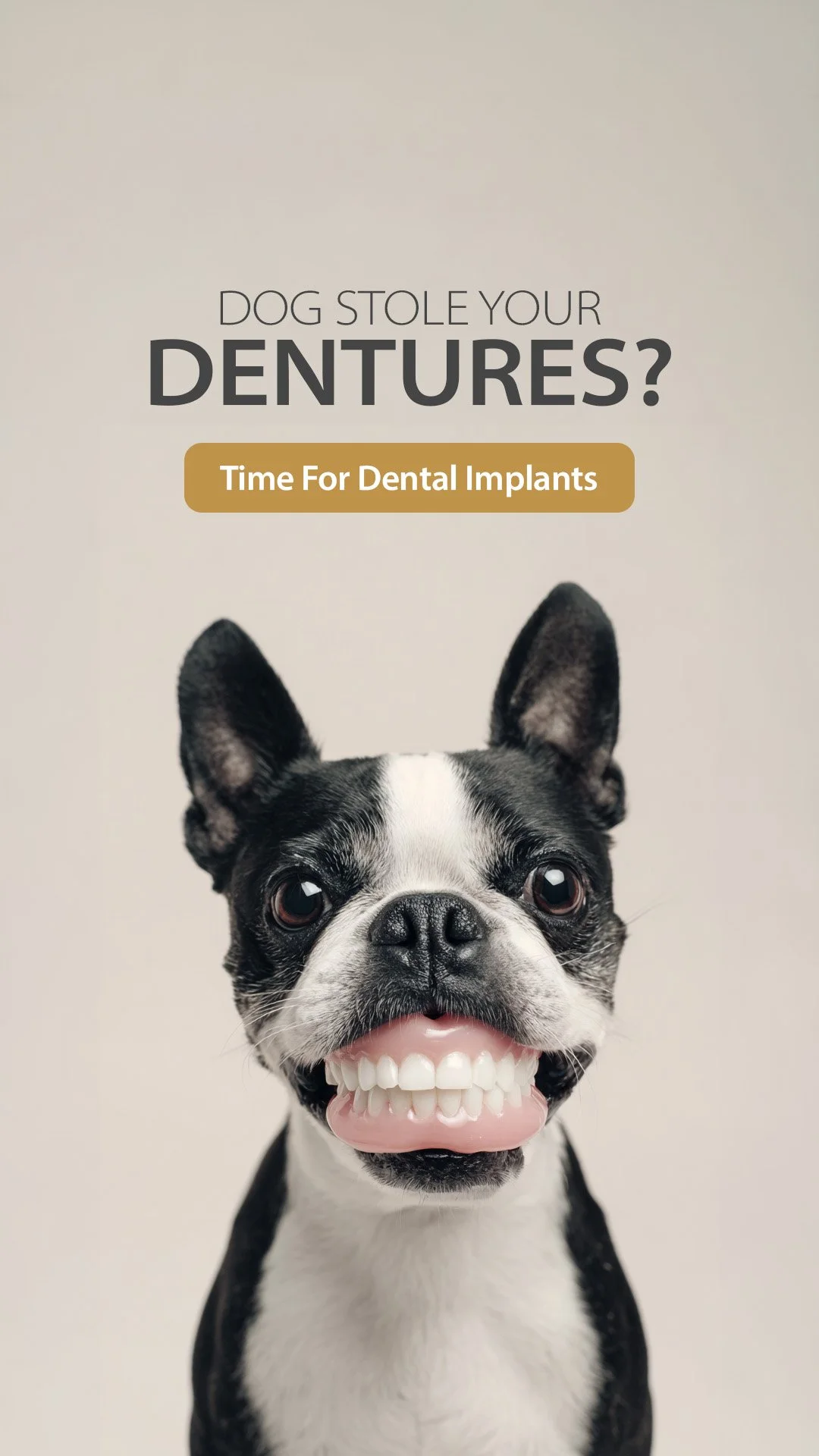 GBO GBD DOG DENTURES 1080x1920 0325 01.jpg