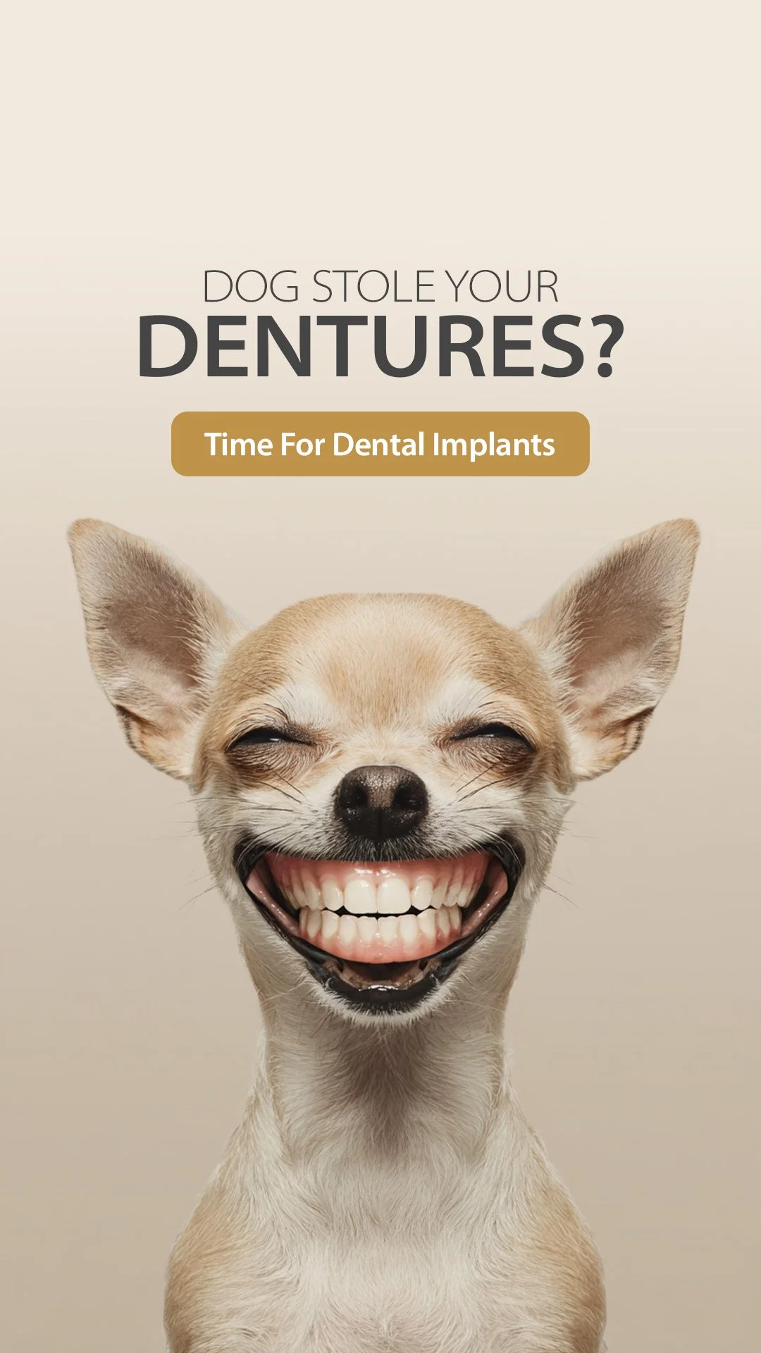 GBO GBD DOG DENTURES 1080x1920 0325 02.jpg