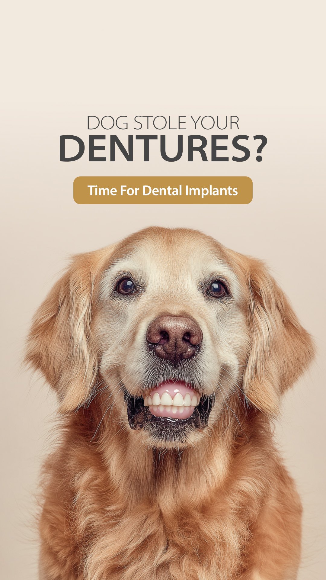 GBO GBD DOG DENTURES 1080x1920 0325 03.jpg