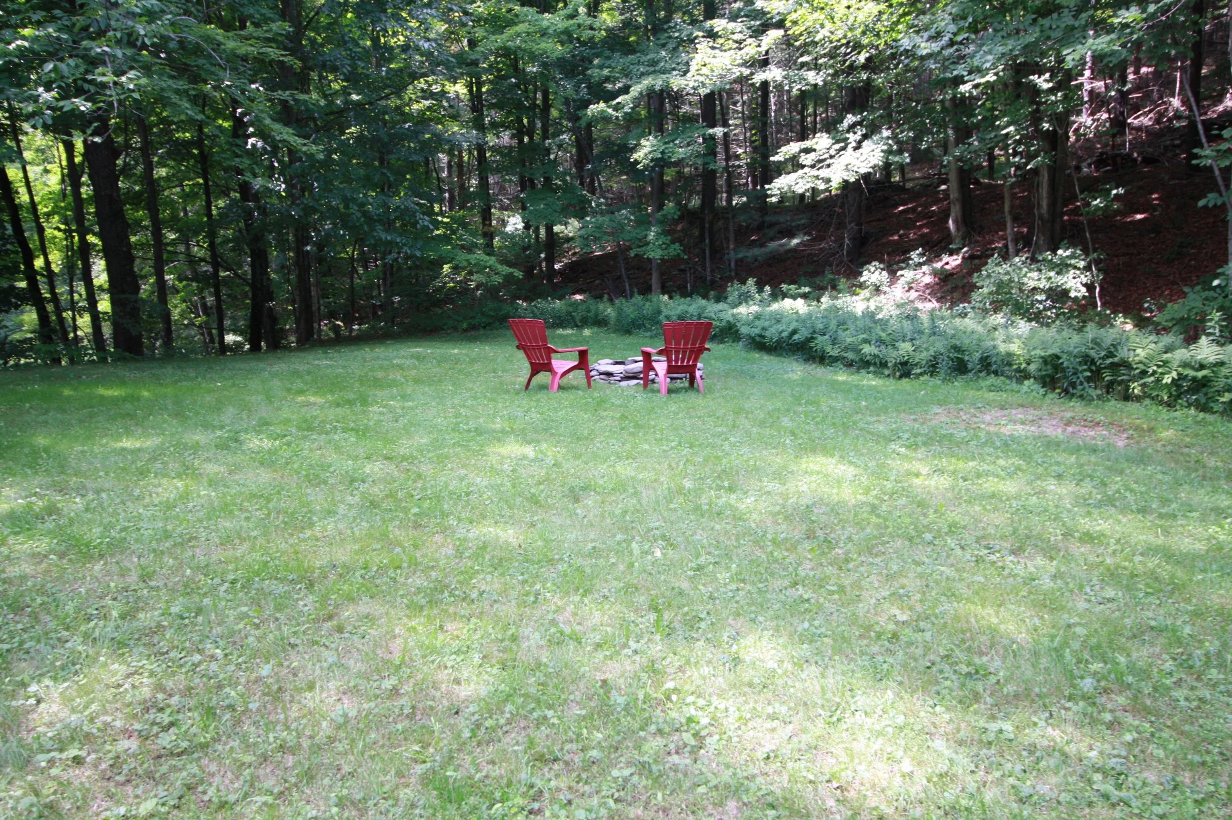 backyard.jpg