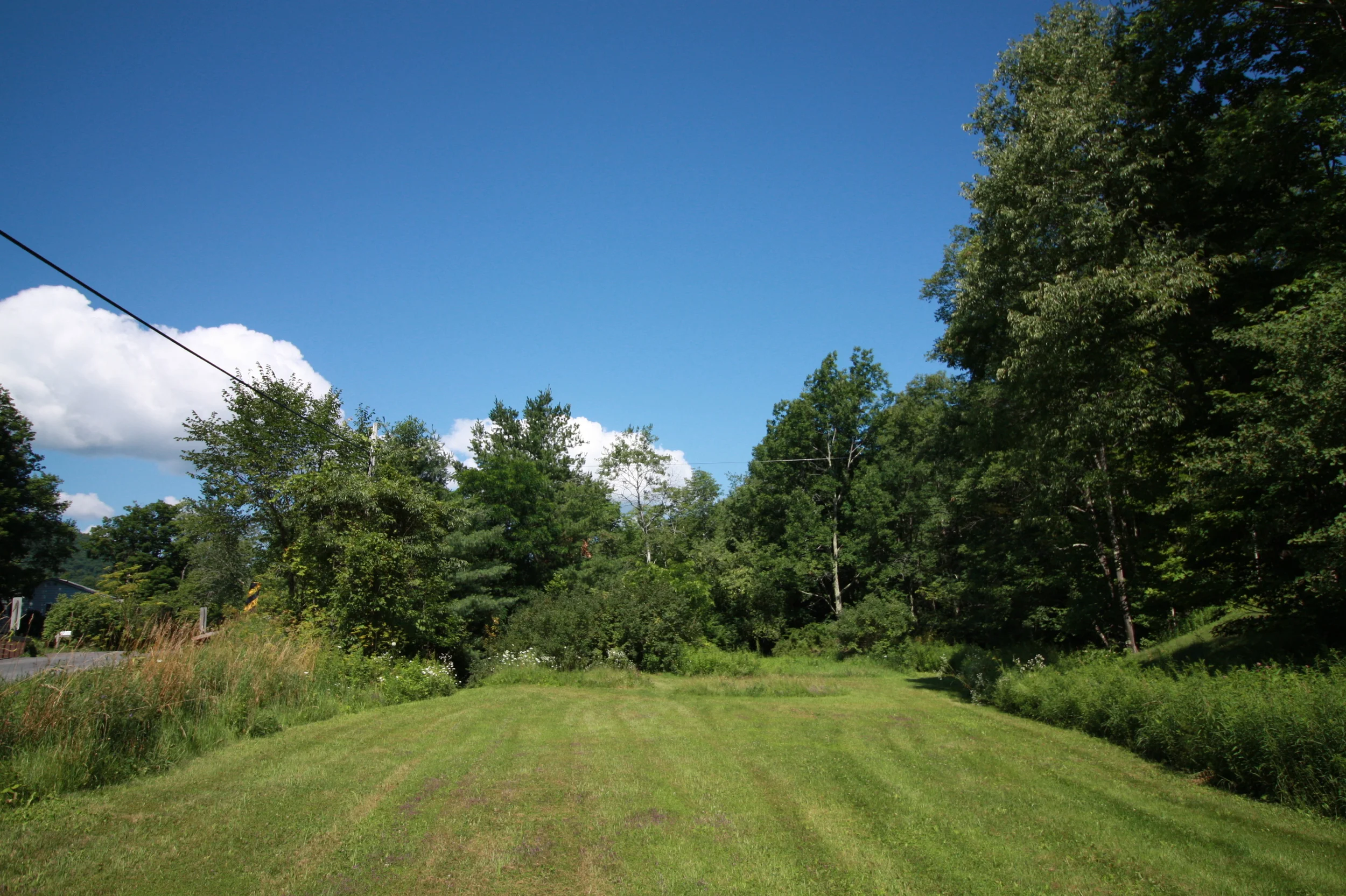 frontyard.jpg