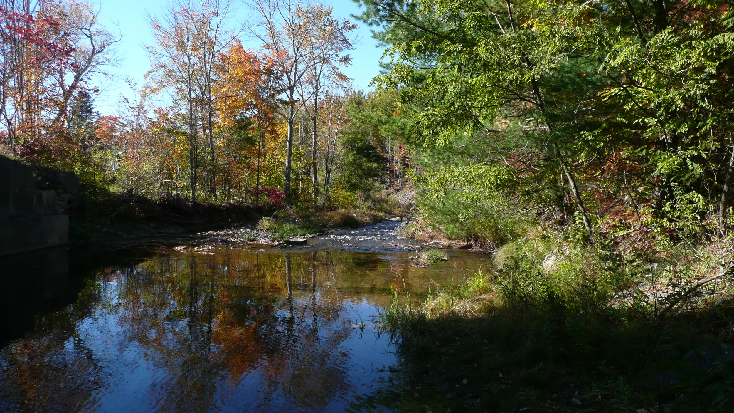 2015-10-12 03.18.56.jpg