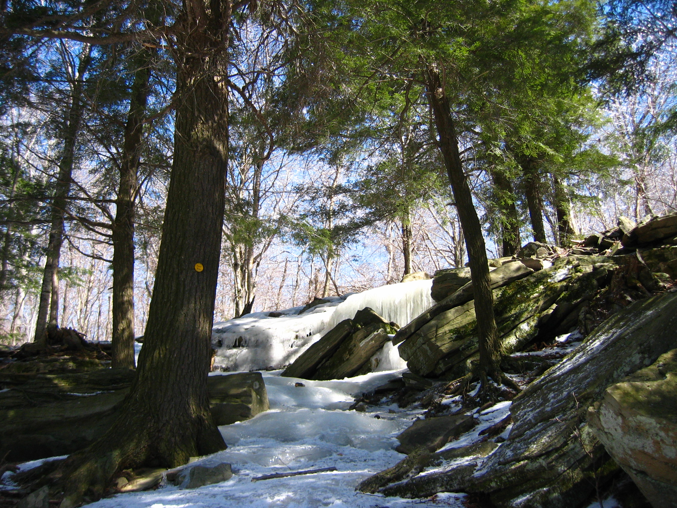 Winter Trail