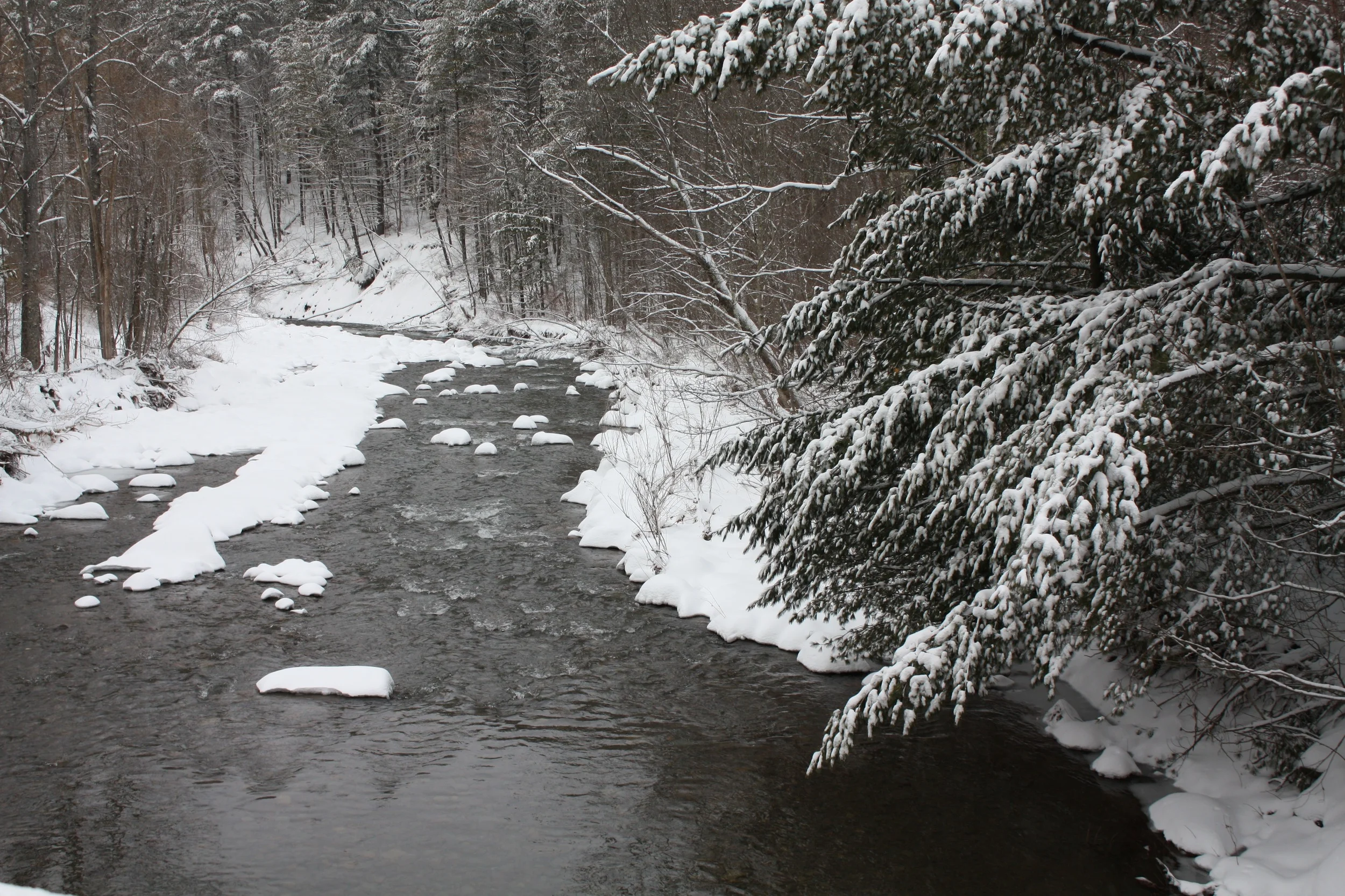 Creek From the Bridge