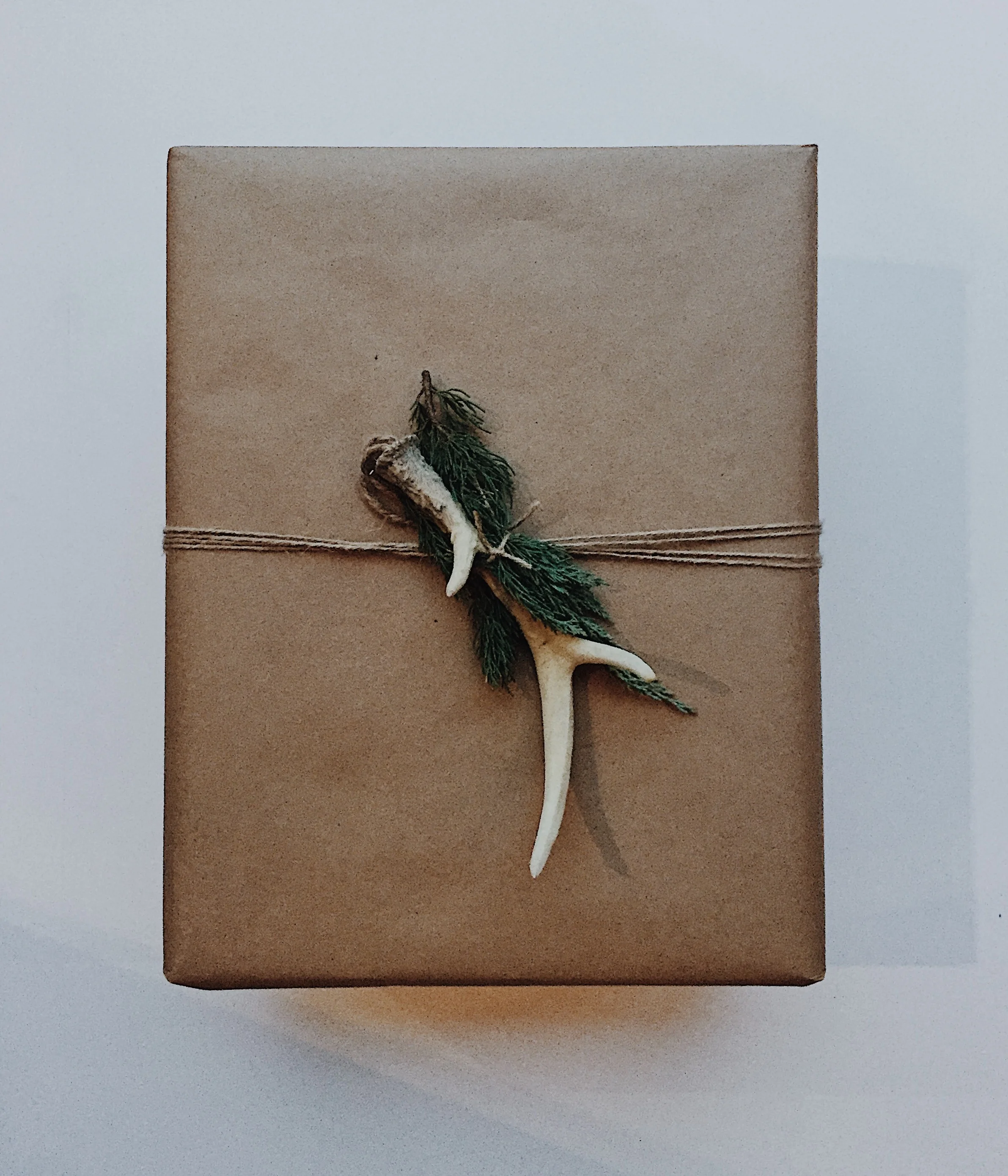 Antler Ornament Topper (Urban Ancestor/George-Mary's) + Hemp Twine + Cedar Trimmings