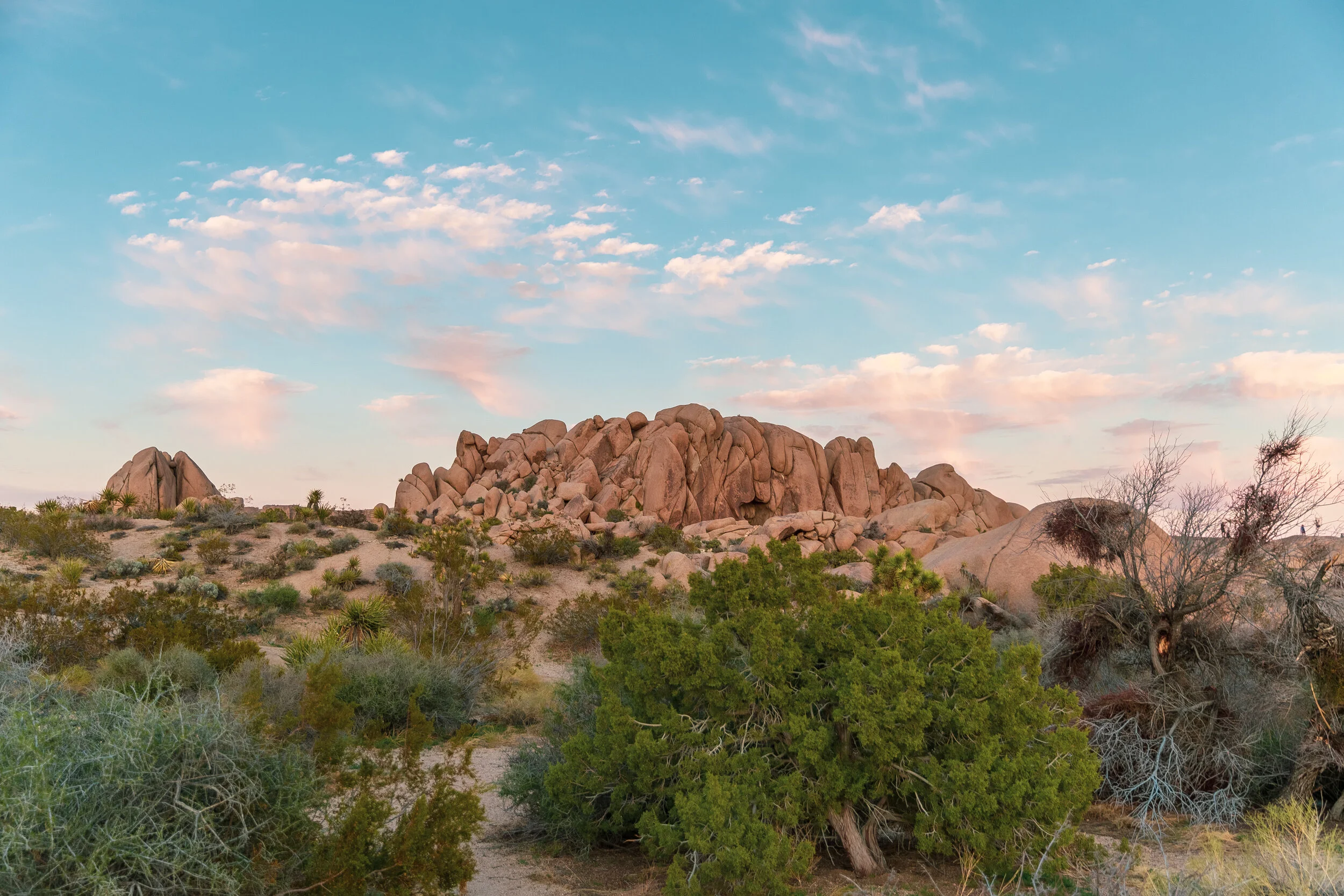 Old State House 2 (1 of 1).jpg