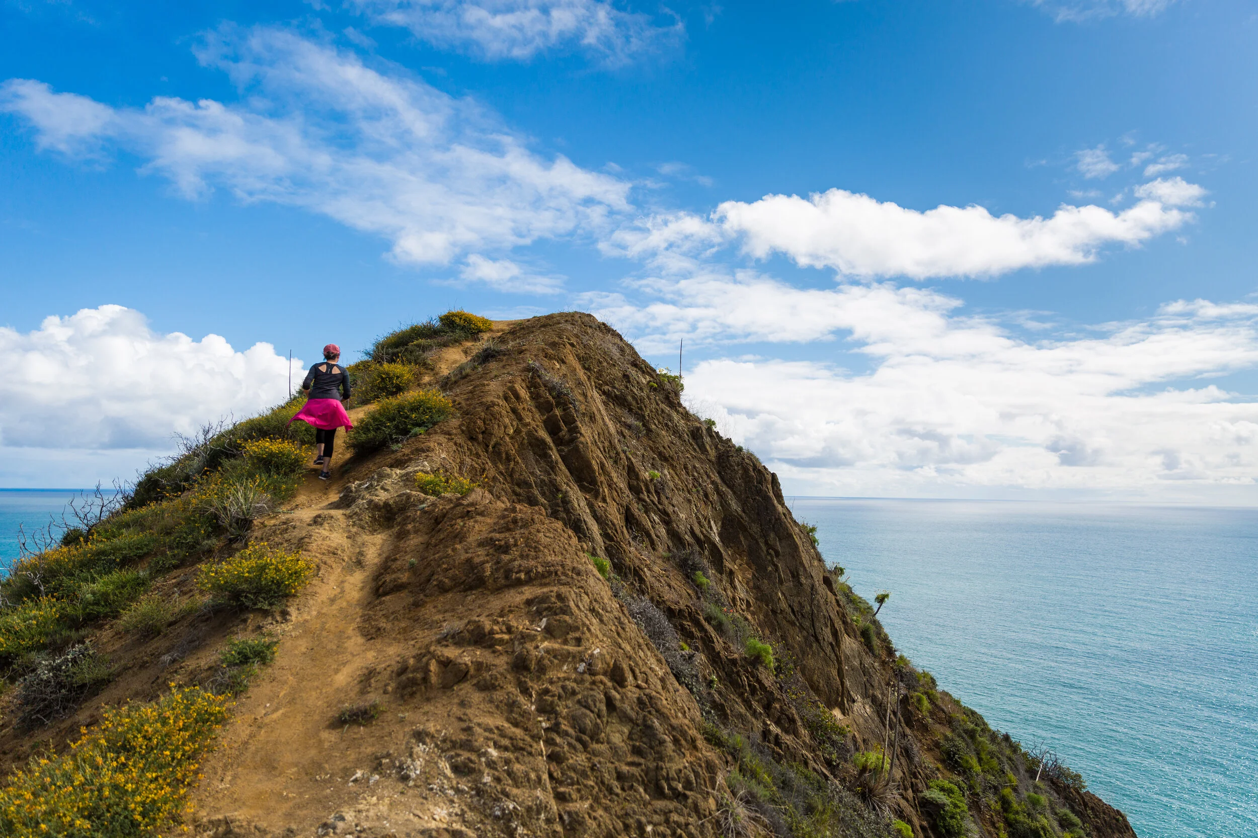 Golden Gate Fog (1 of 1).jpg