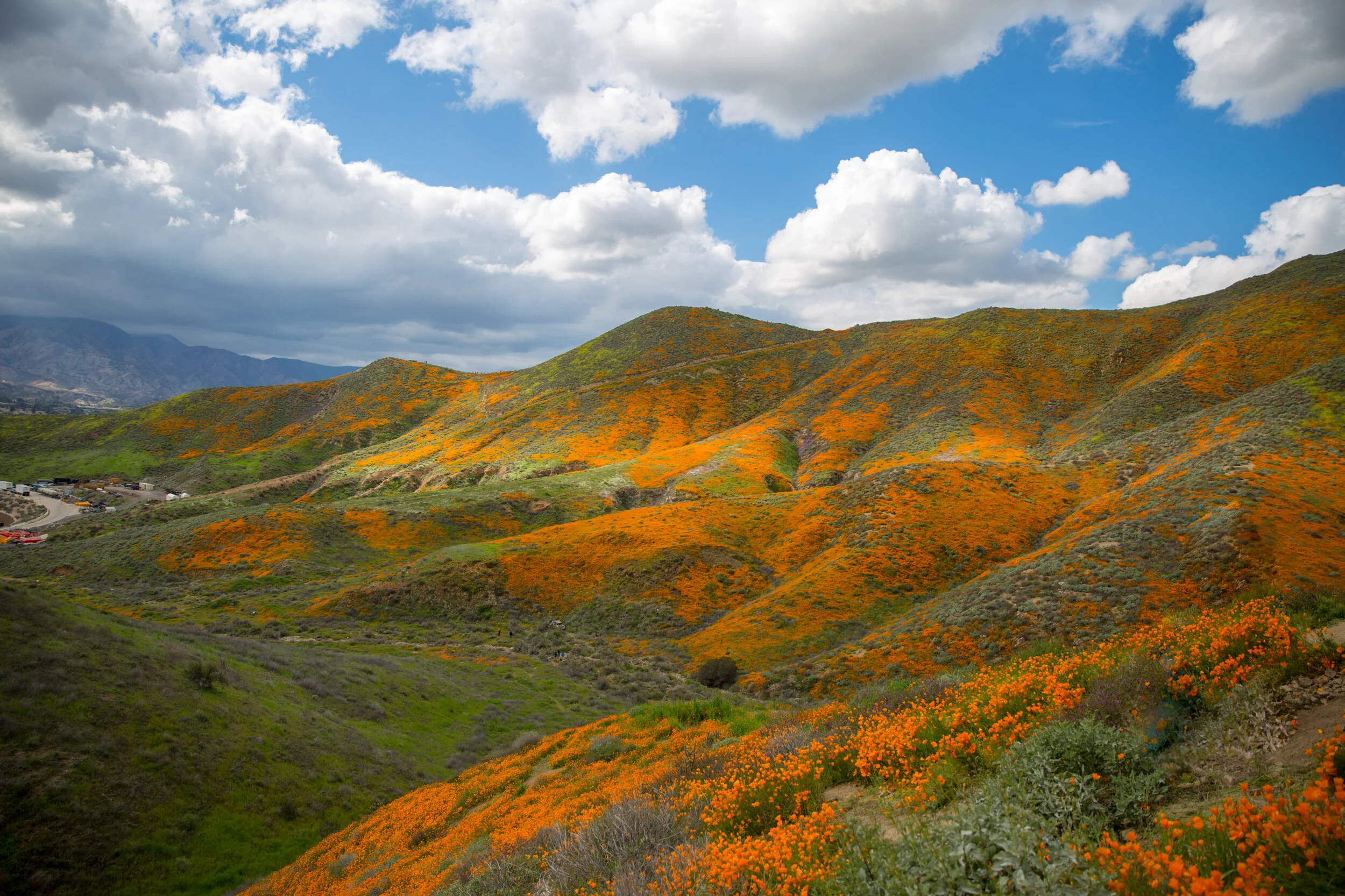 Walker Canyon 19.jpg