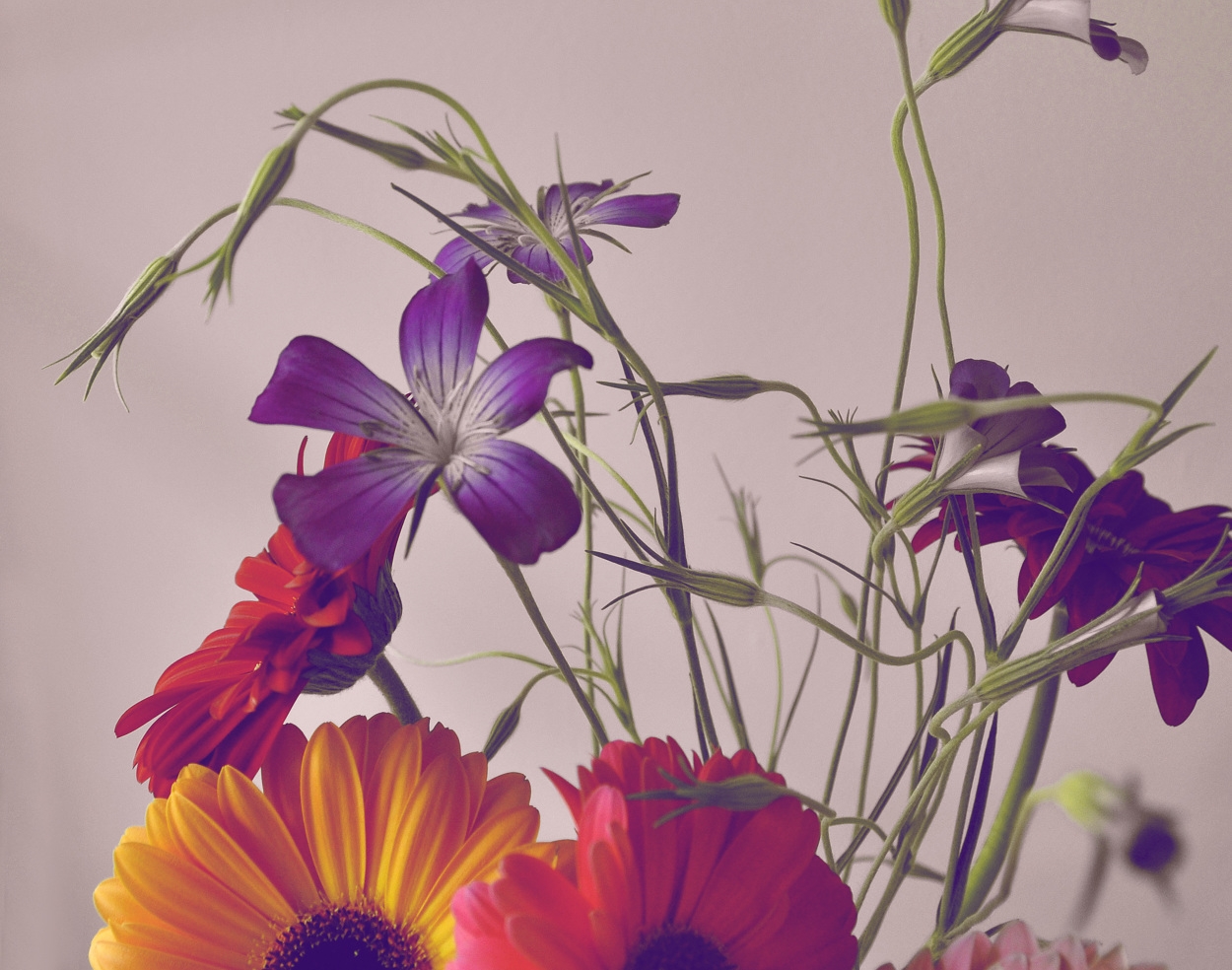 Wednesday Women's Group