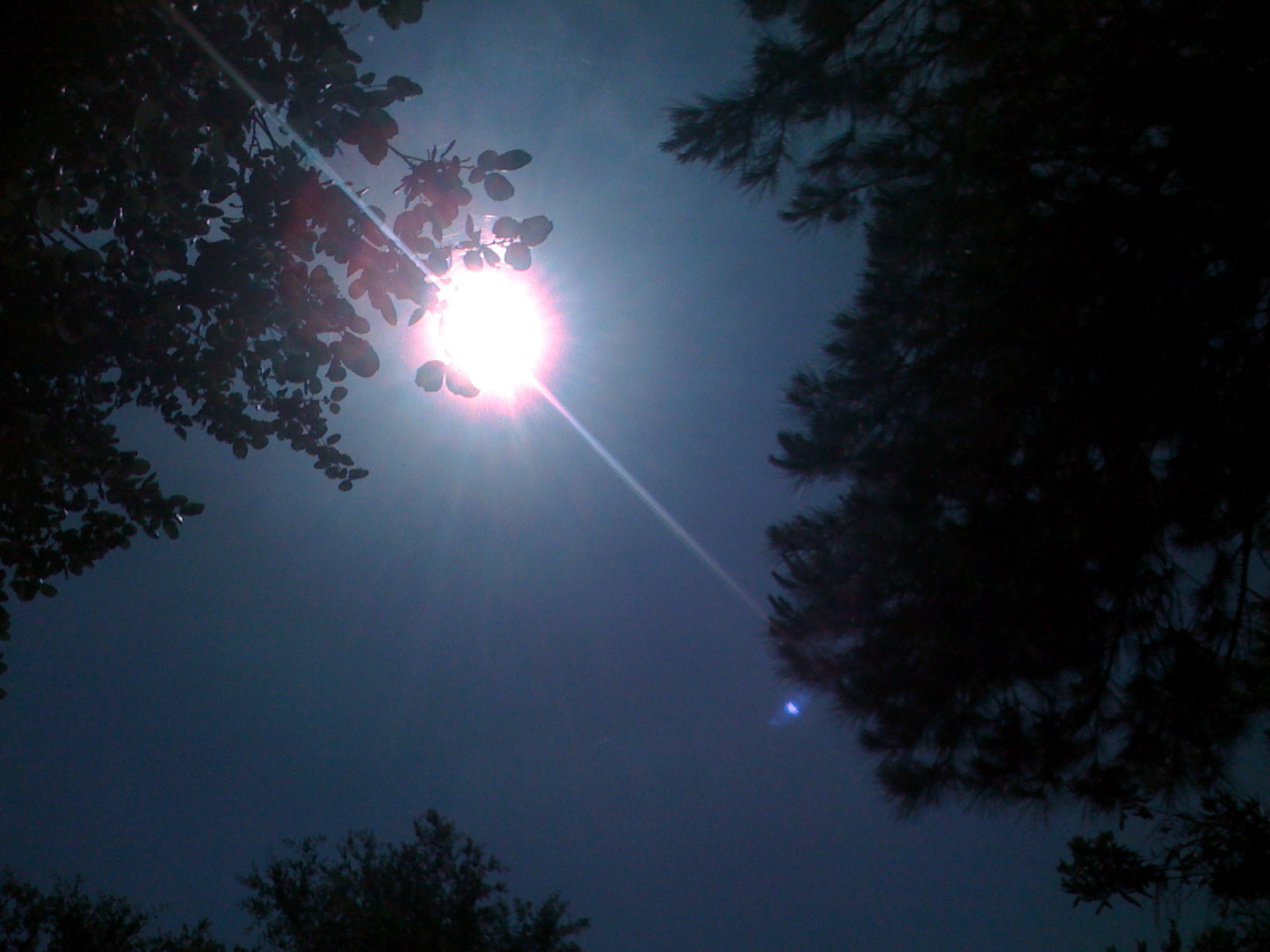 A Nonbeliever’s Near-Death Experience