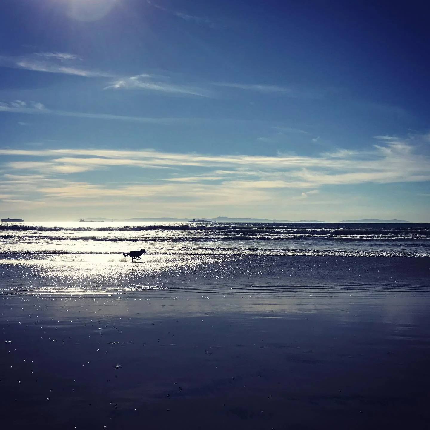 Covid has everyone walking on eggshells right now, but don&rsquo;t worry about Pearl none. She&rsquo;s out here living her best life.