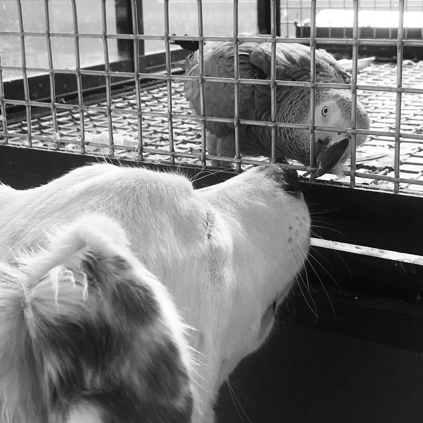 First time for everything.