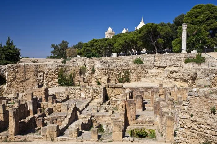 Tunisia-Ancient-Carthage-Byrsa-hill_20090615163802.jpg