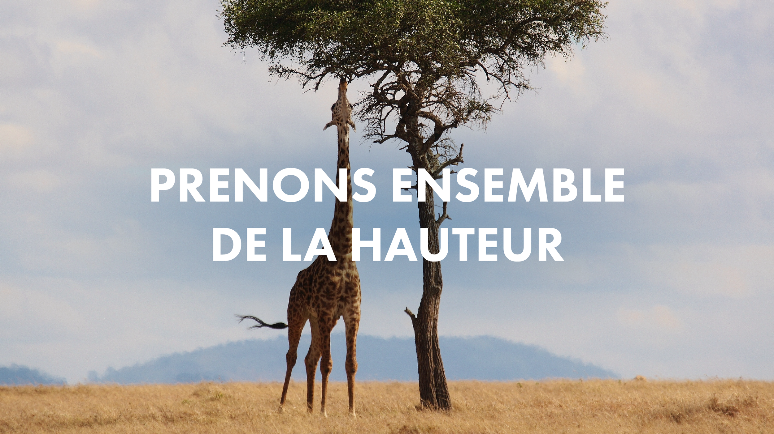 slide_site_fp_associes_2024_prenons_ensemble_de_la_hauteur.png