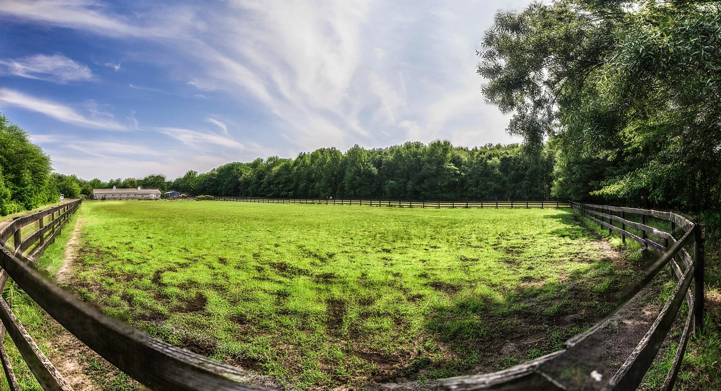 Pano-.jpg