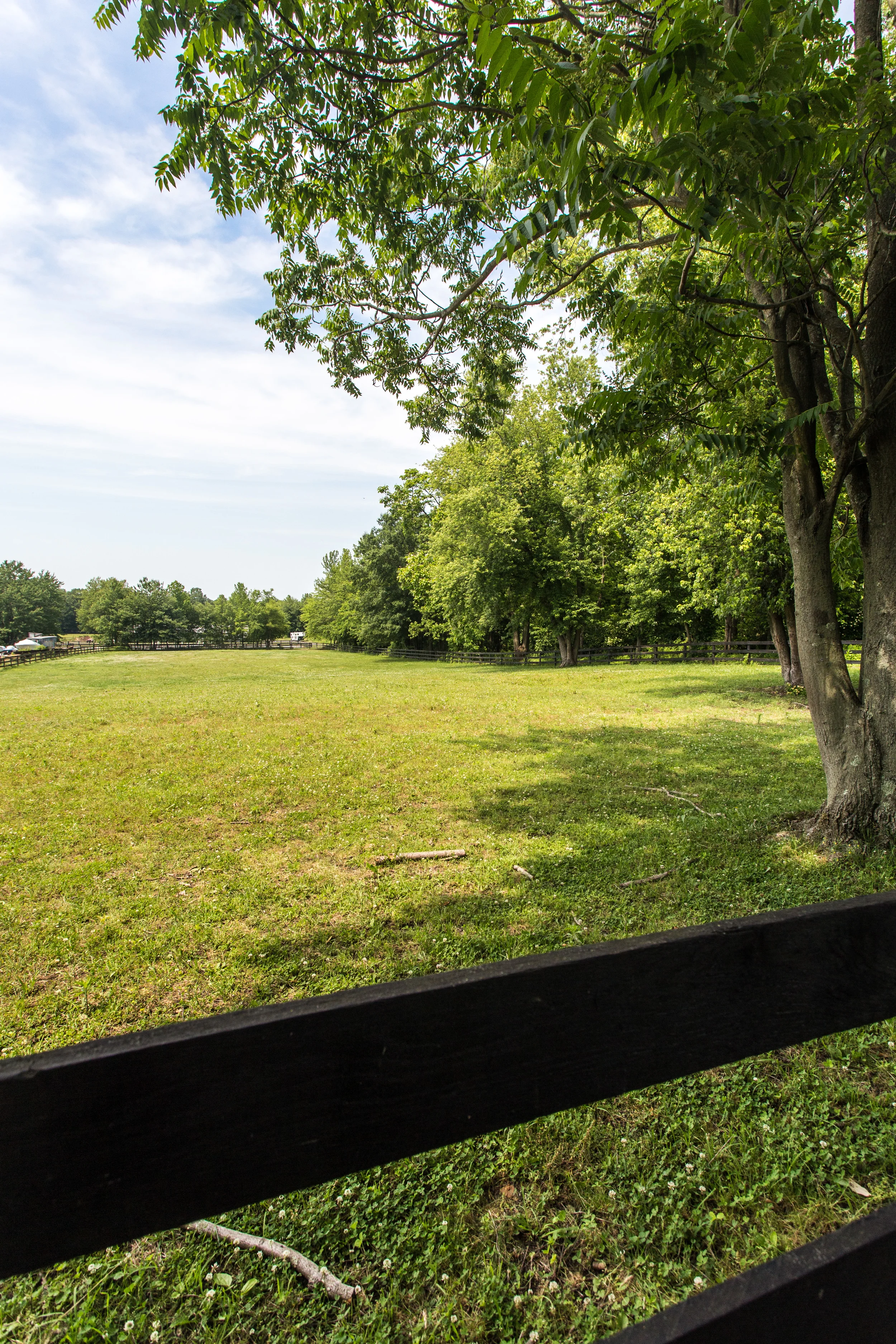 NimbleCreek-0727.jpg