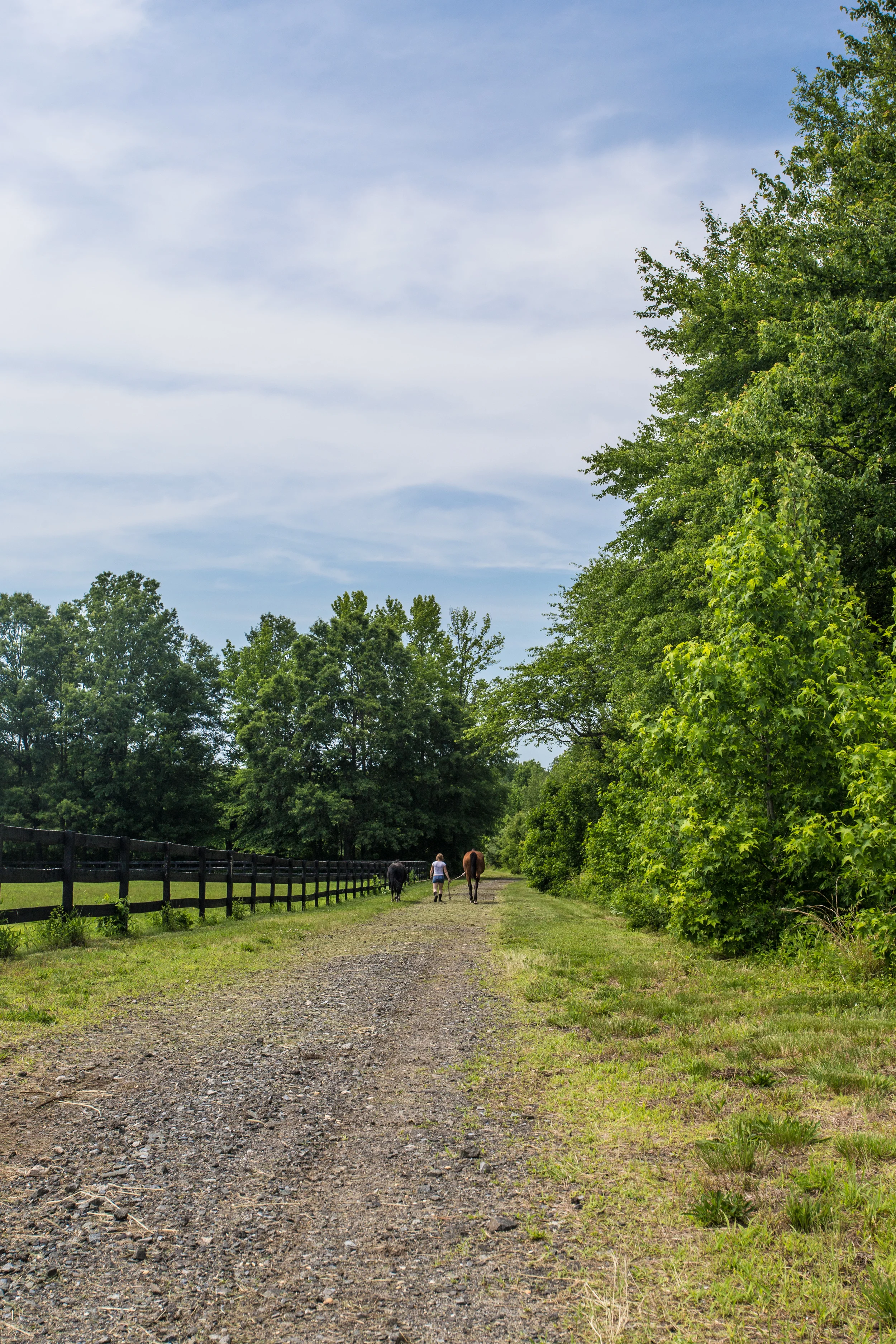 NimbleCreek-0751.jpg