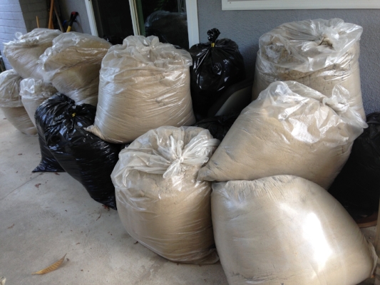 We filled about forty 50-gallon bags in all.