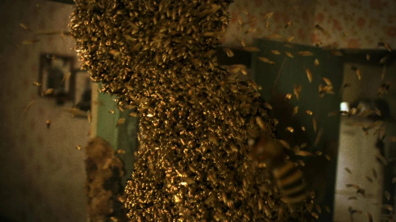 Beast: Mr. Hurricane