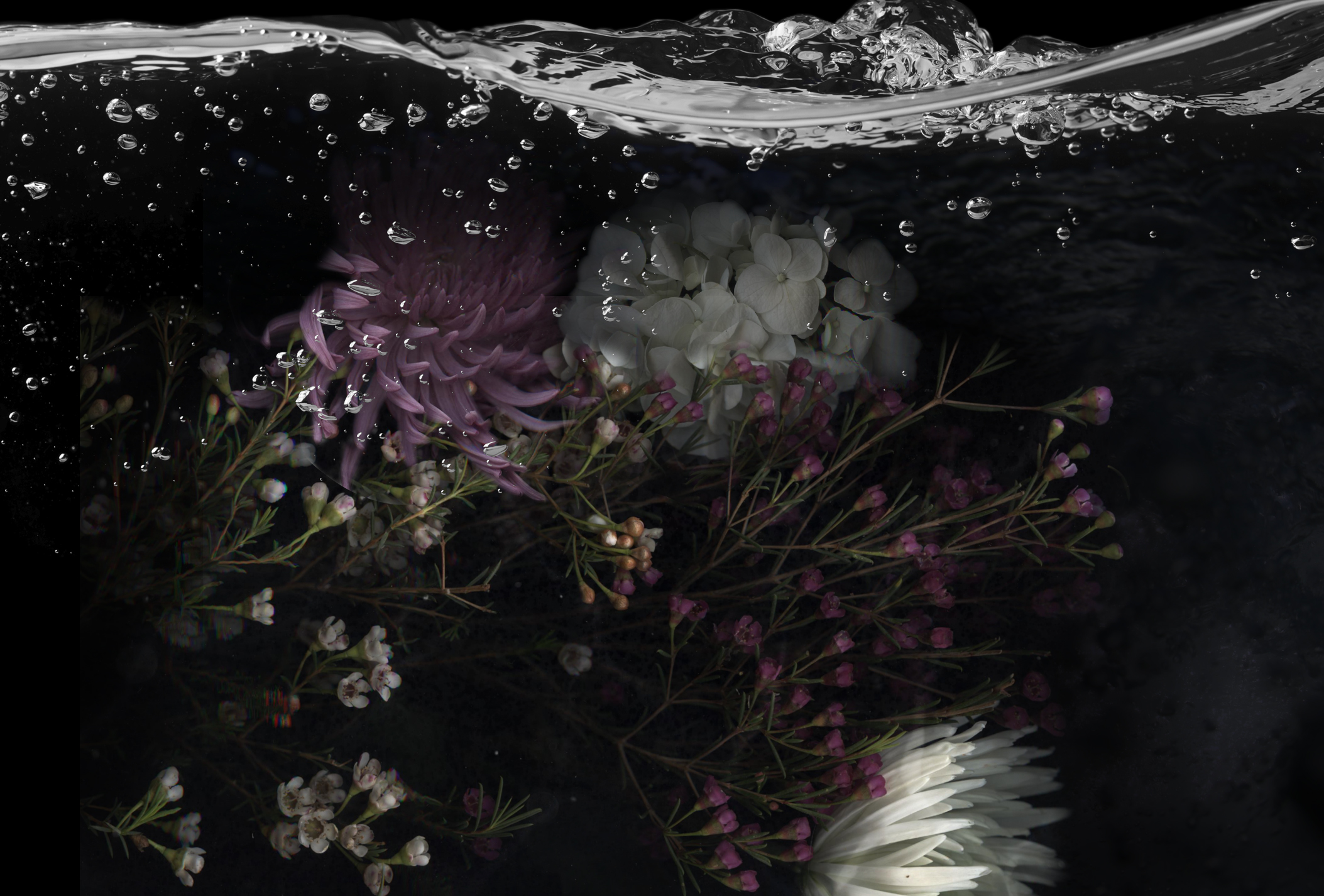 water_flower01.jpg