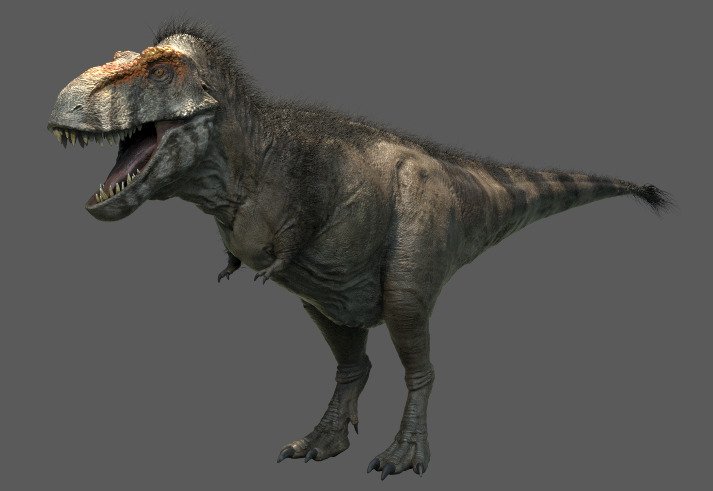 Screen Shot 2017-10-02 at 7.11.10 PM.png