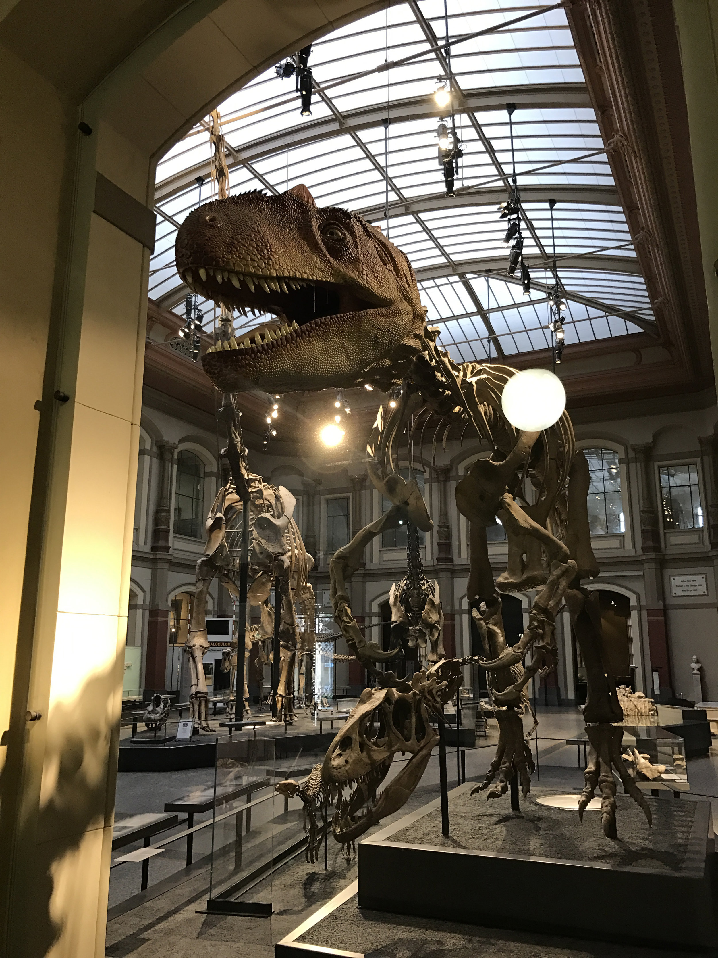 trex02.jpg