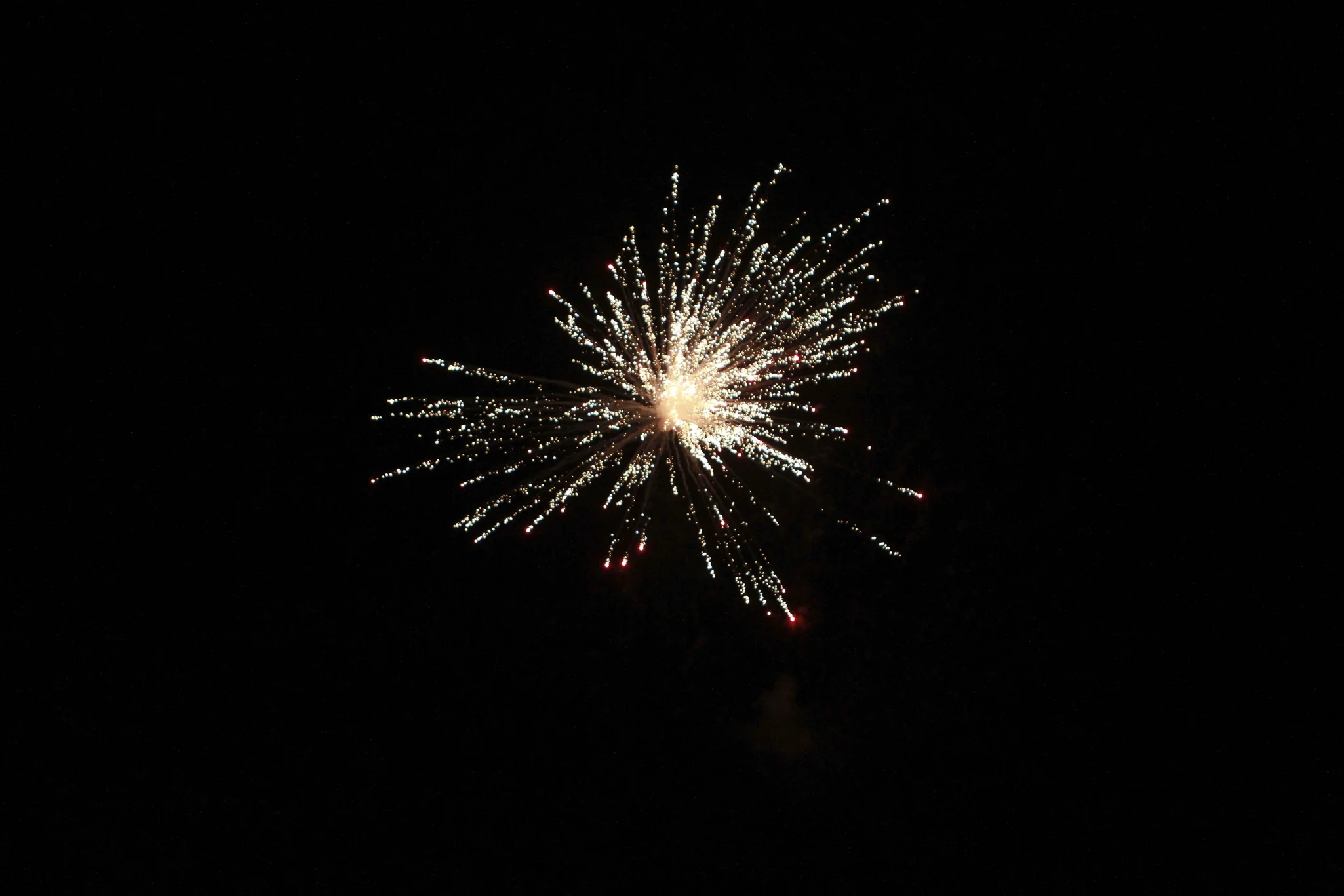 IMG_1054.jpg