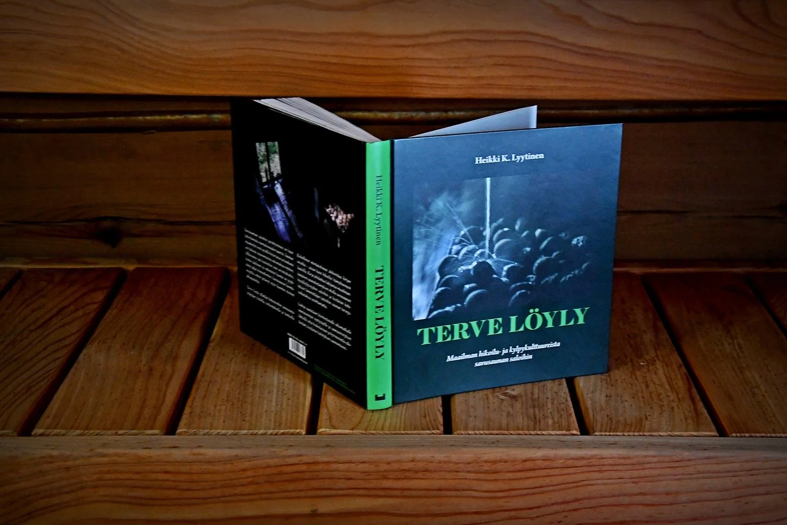 At the Heart of Enchanted Steam by Heikki K. Lyytinen