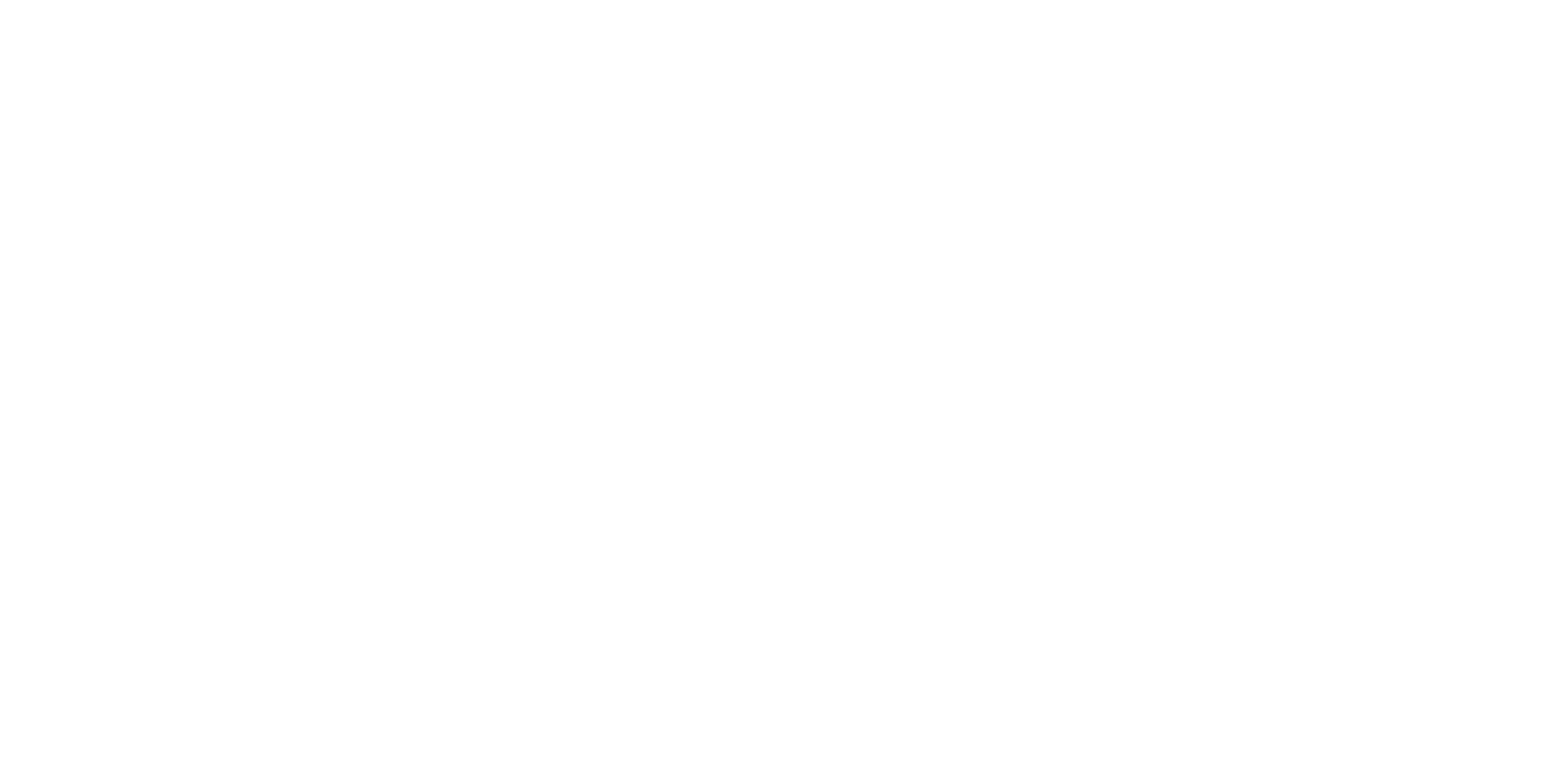 White FFN Full Logo (1).png