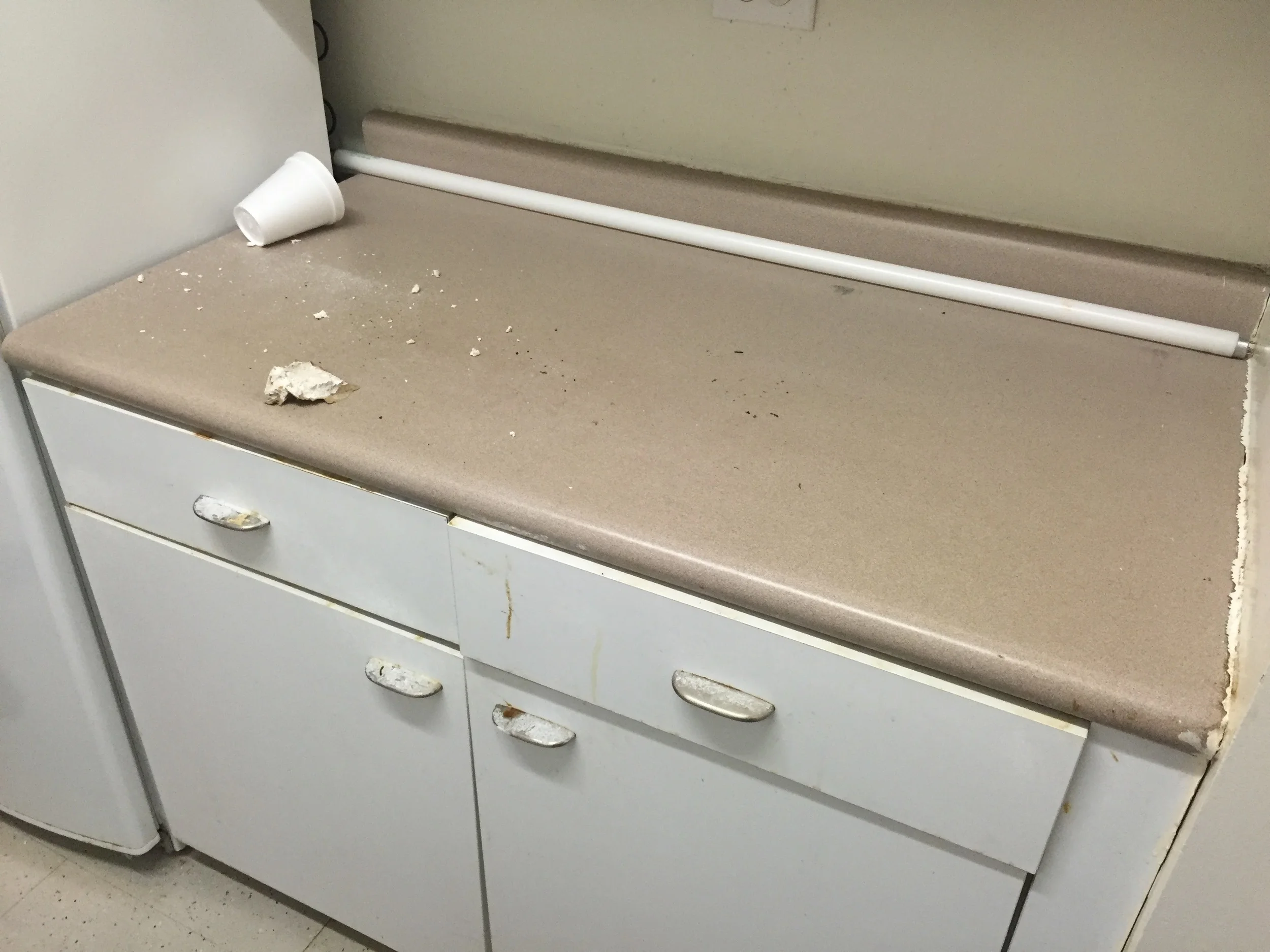 michael farca - IMG_1976.JPG