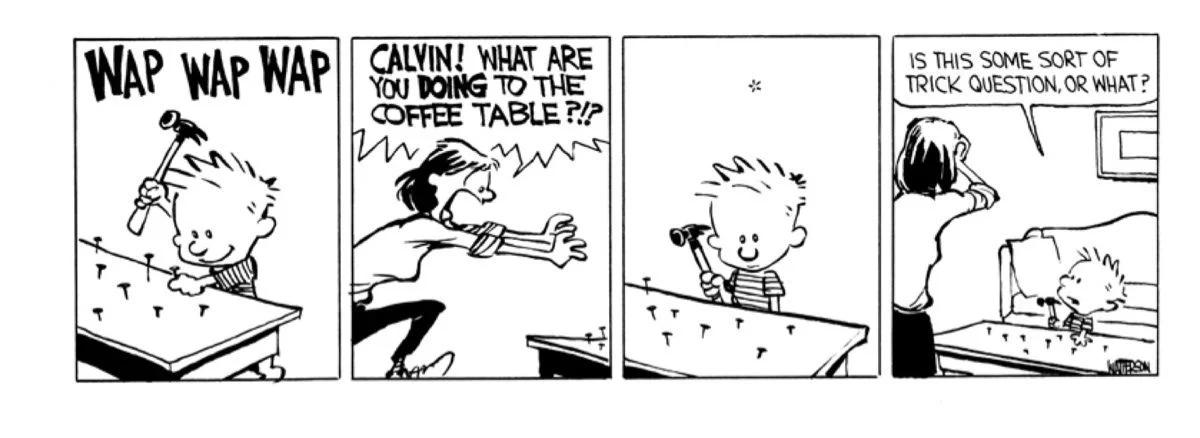 Calvin and Hobbes
