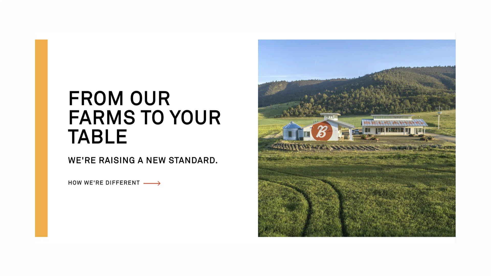 Case Study Brand Image Maker.001.jpeg